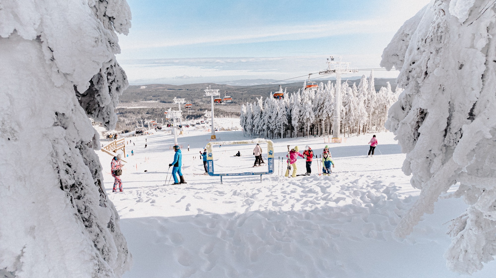 zieleniec sport  arena