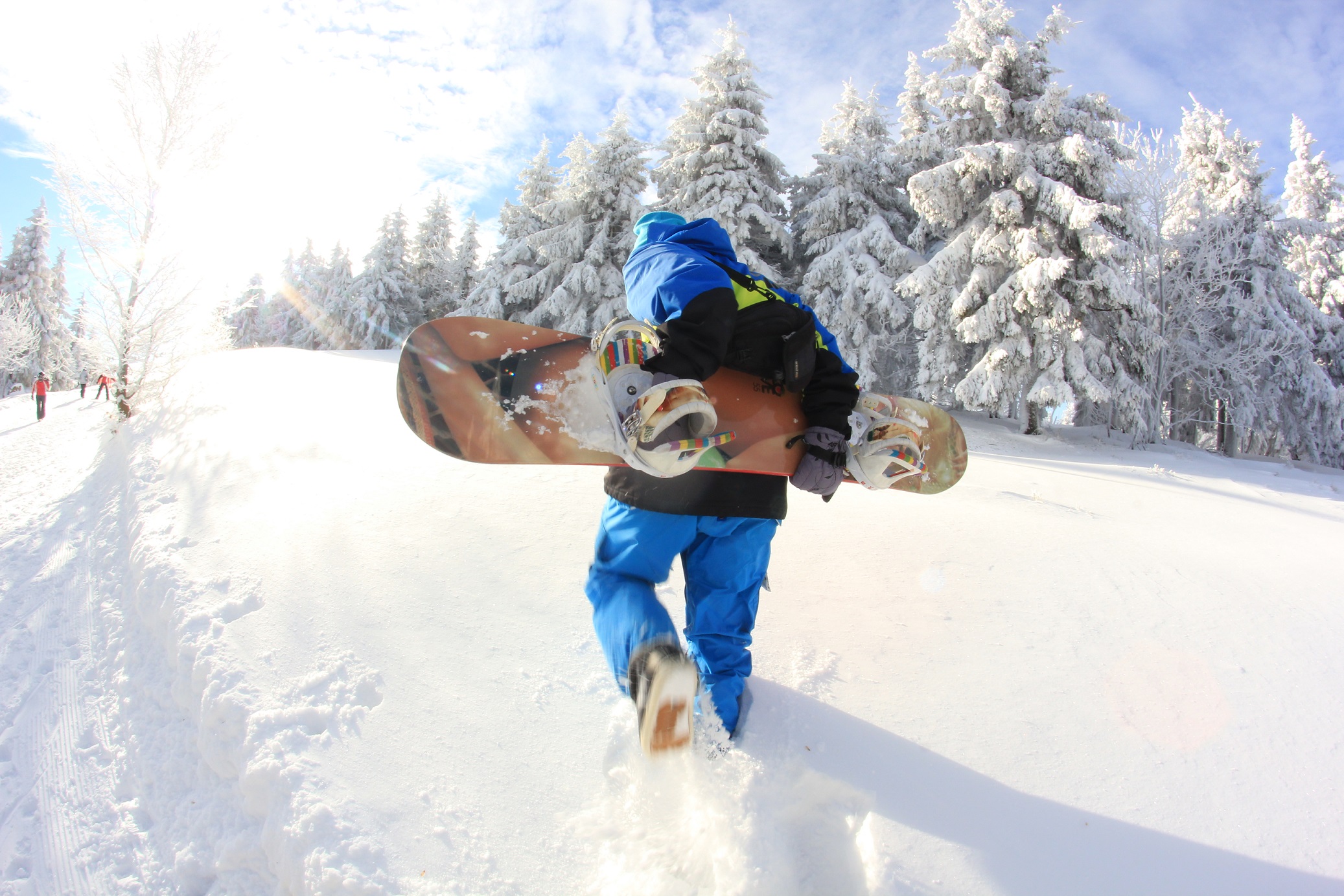 zieleniec narty ziemia kłodzka