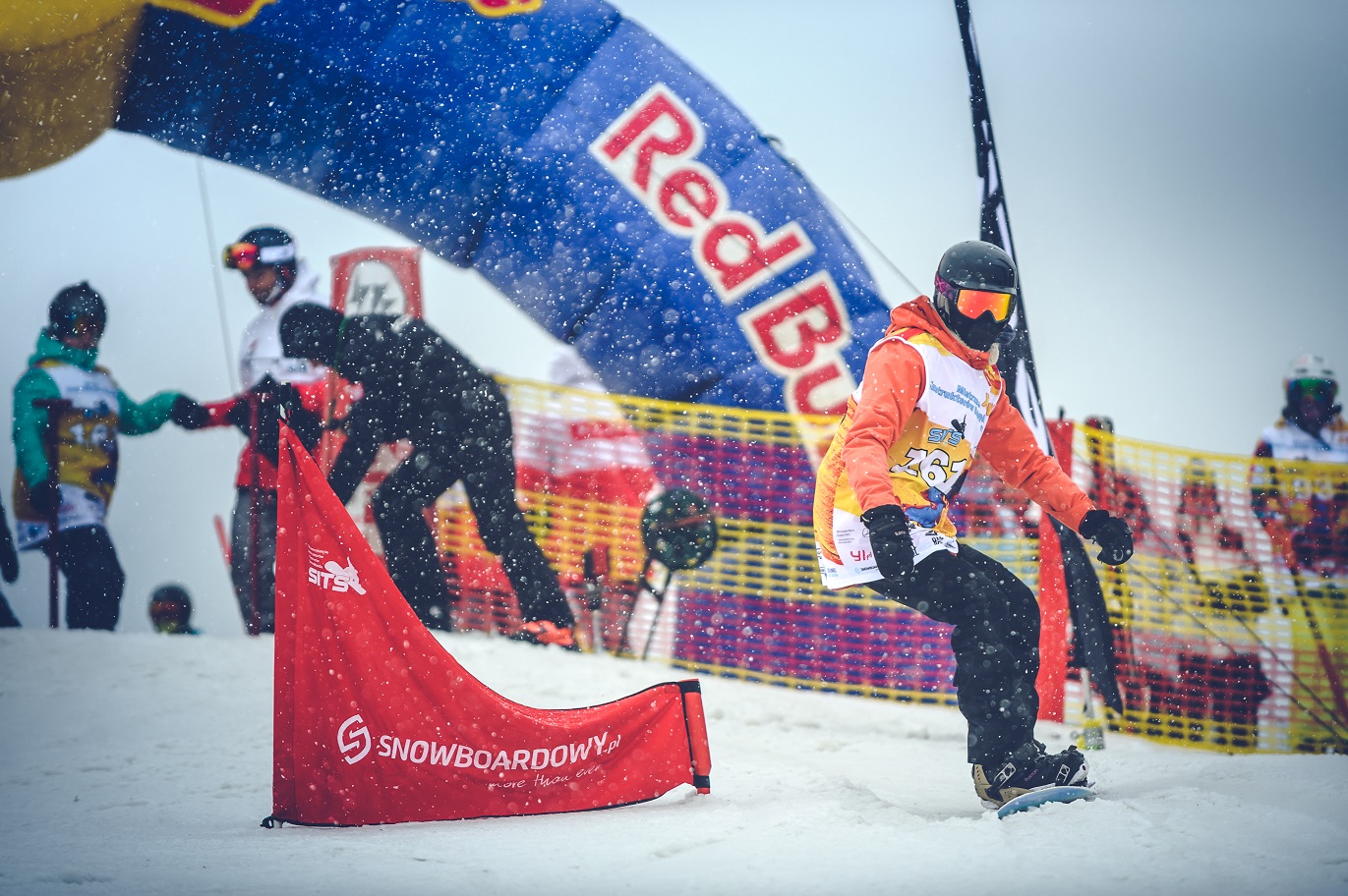 zieleniec sport arena