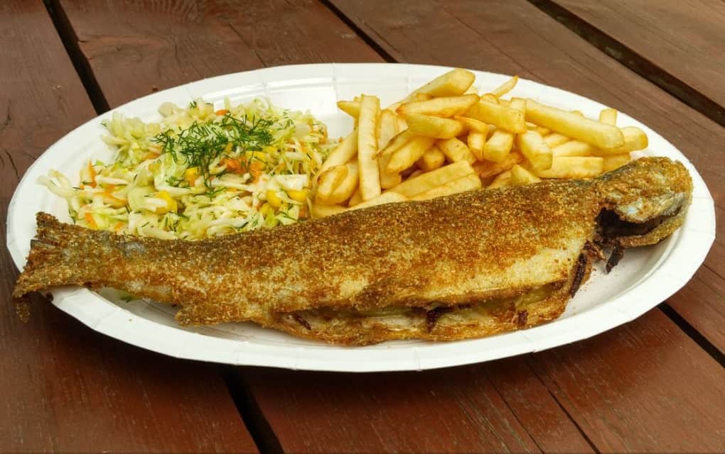 łowiska Dolny Śląsk