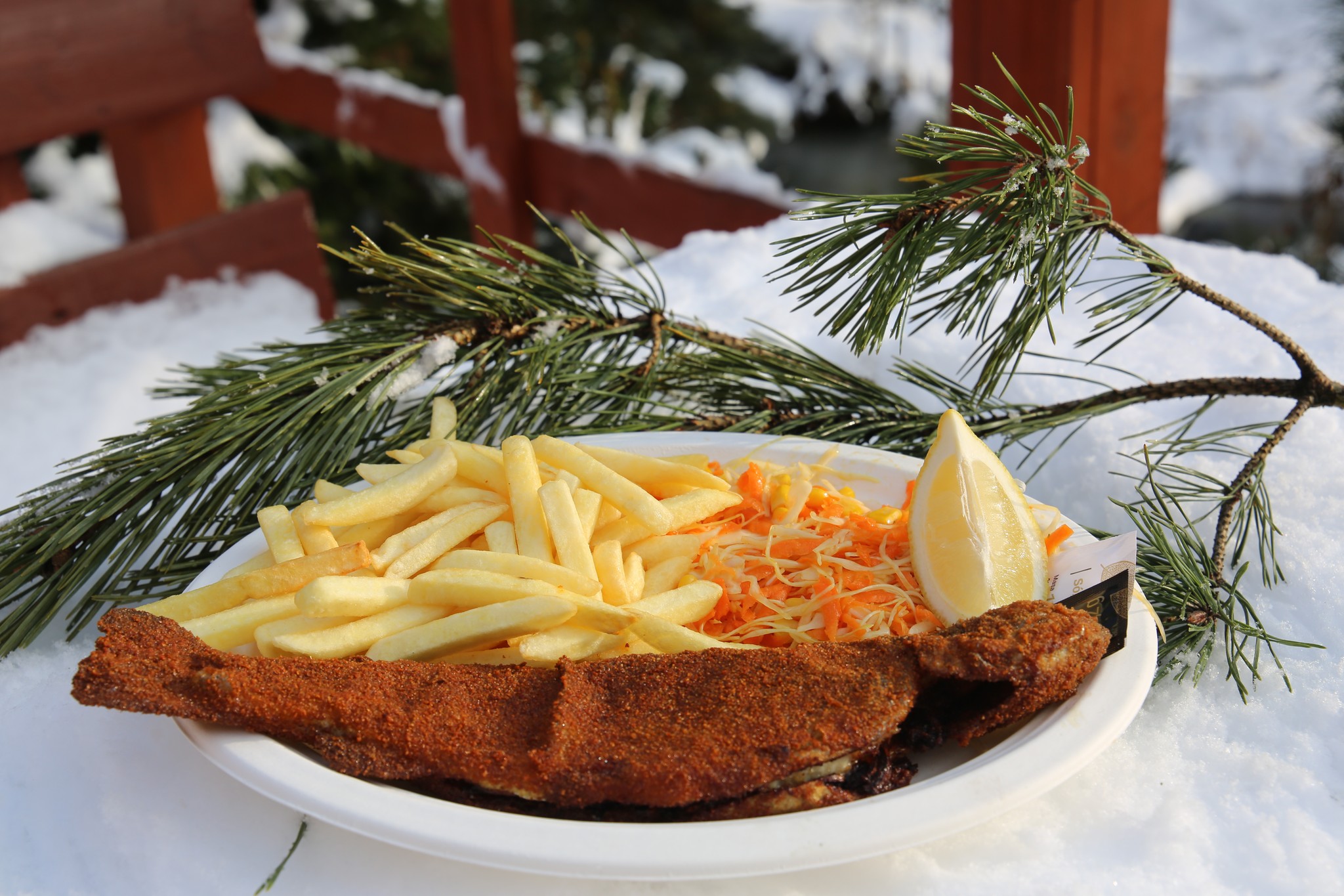 Pstrag-Klodzki-Zloty-Pstrag