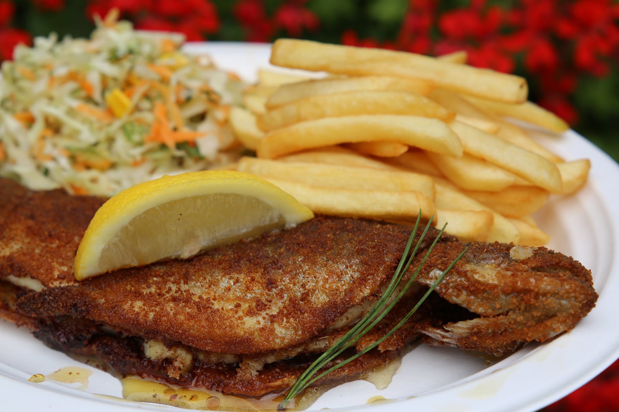 250627828 6327099627360097 7882232787703724923 n