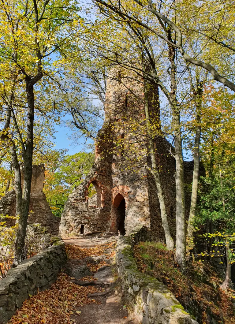 Stary Książ
