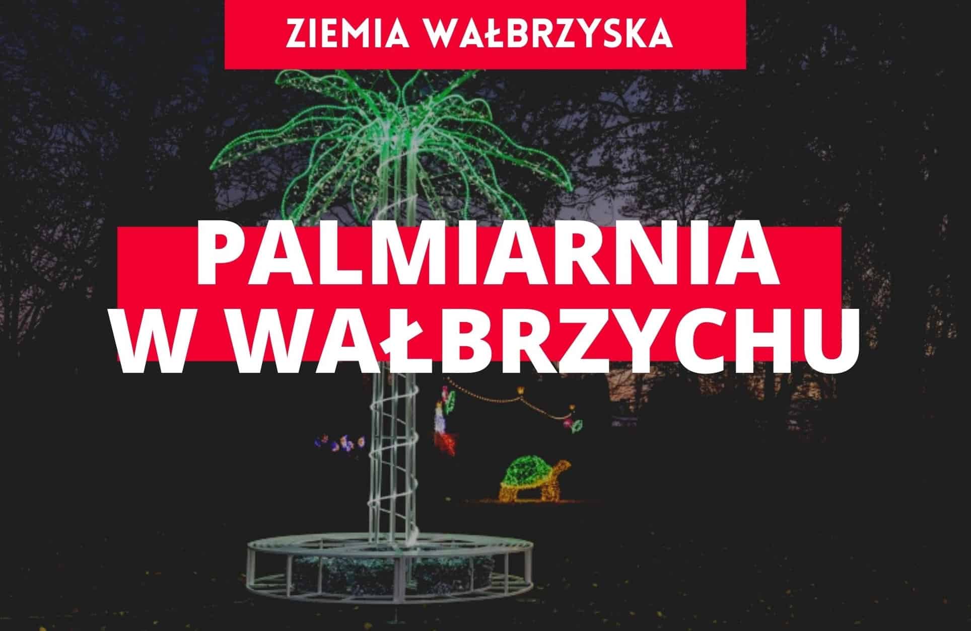 palmiarnia-walbrzych,-ziemia-walbrzyska-atrakcje,-walbrzych-atrakcje,-atrakcje-walbrzycha,-atrakcje-dla-dzieci-walbrzych,-atrakcje-dla-dzieci-dolny-slask,-podziemia-dolnego-slaska,-wakacje-w-polsce,-wakacje-na-dolnym-slasku,-gdzie-na-weekend-gory