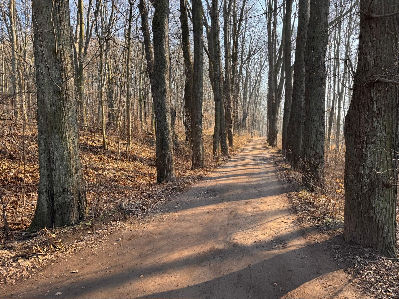 trasy spacerowe jezioro bystrzyckie