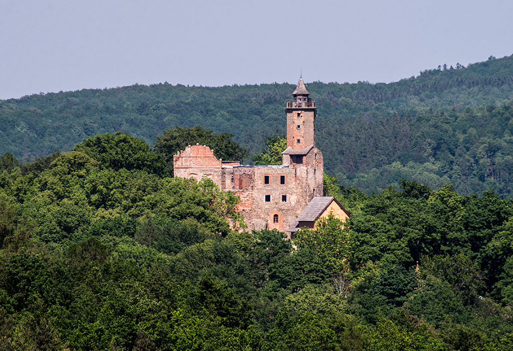 zamek grodno