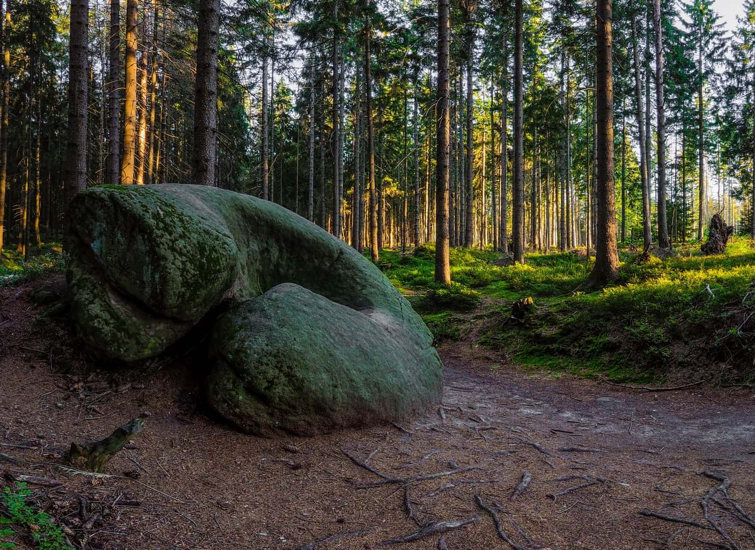 skalne grzyby - atrakcje Góry Stołowe