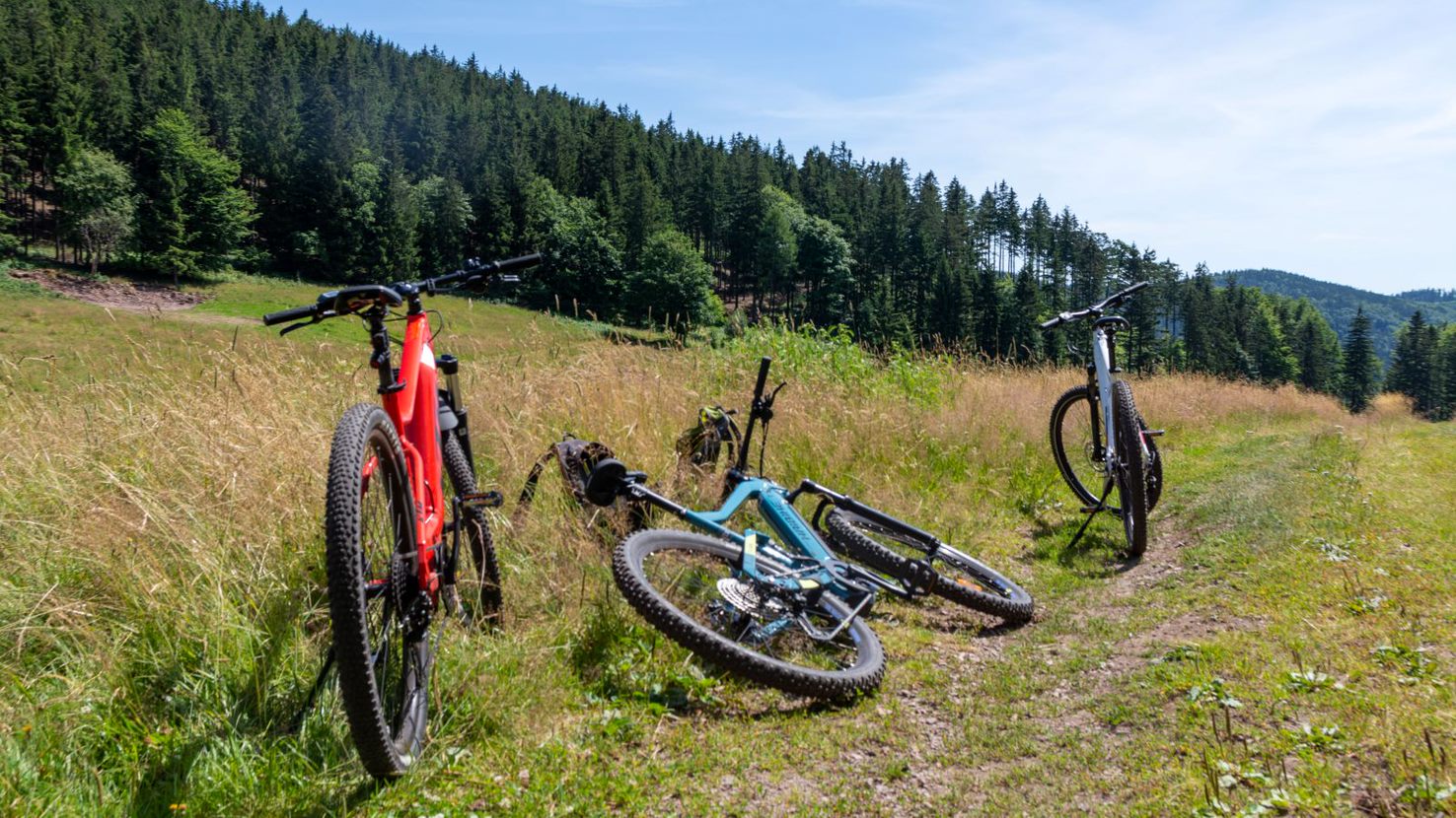 ebike