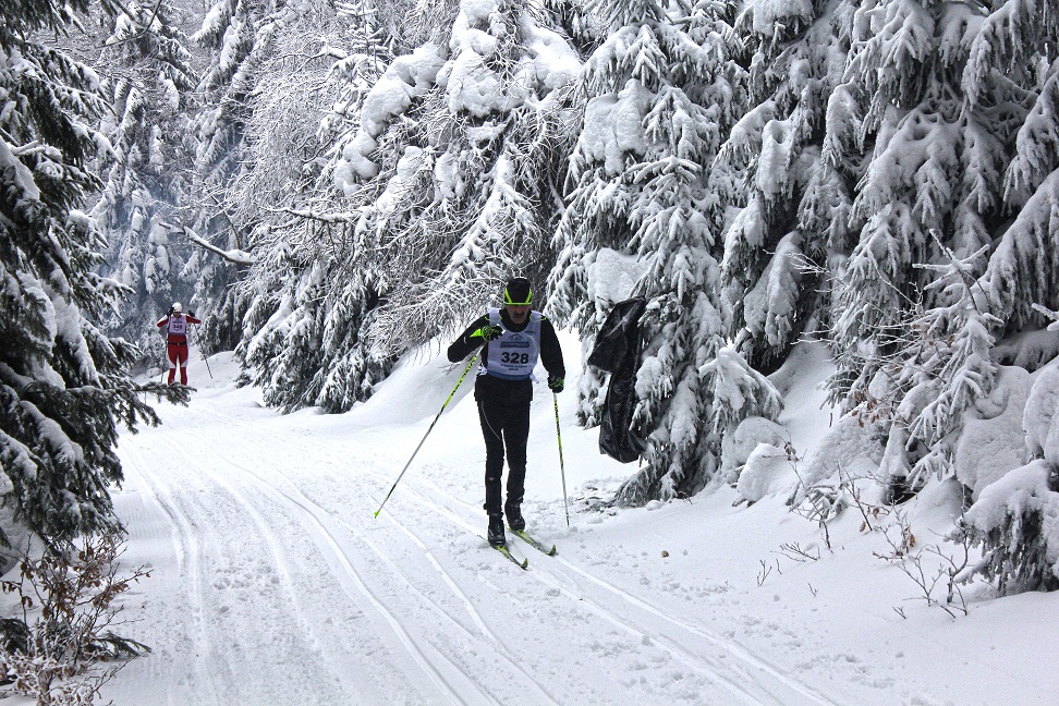 IMG 0164