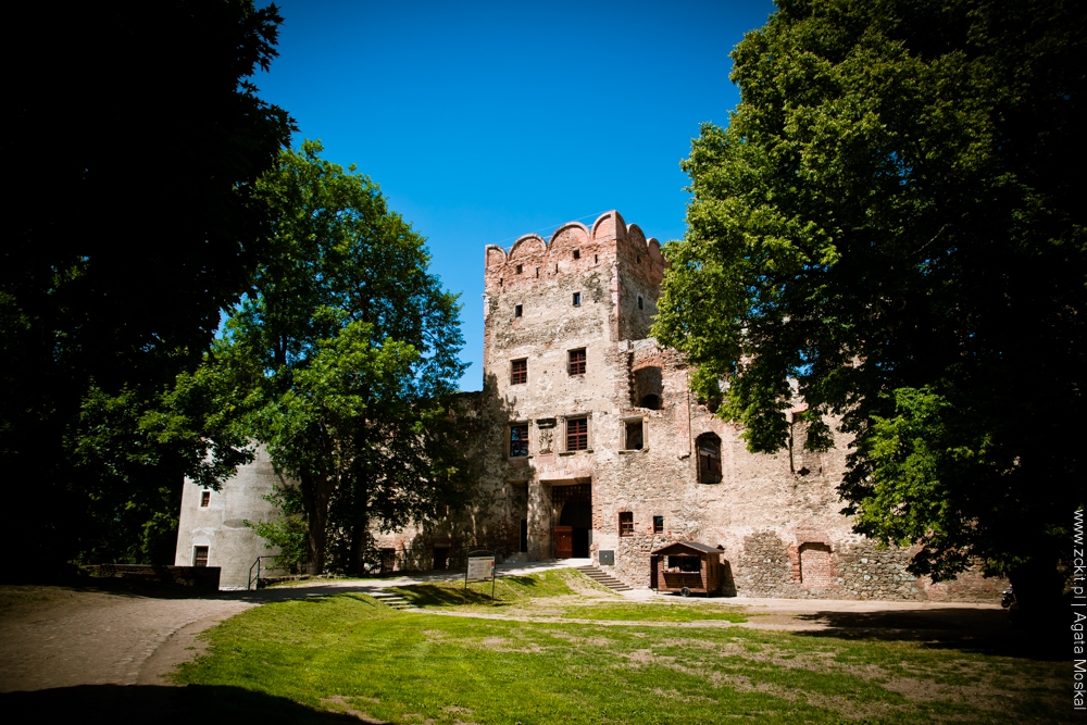 zamek ząbkowice