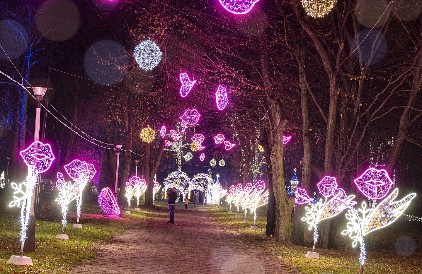 park miliona świateł zabrze