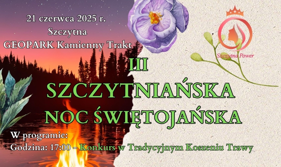 noc1