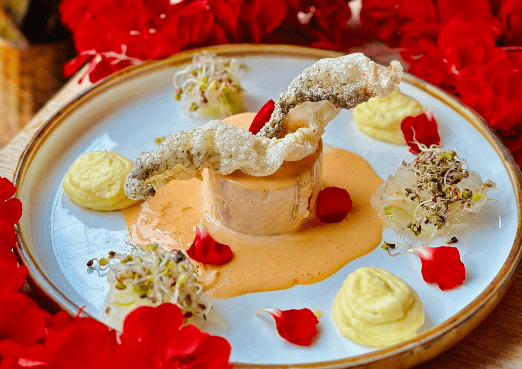 restauracja chleb wino torun 4 1