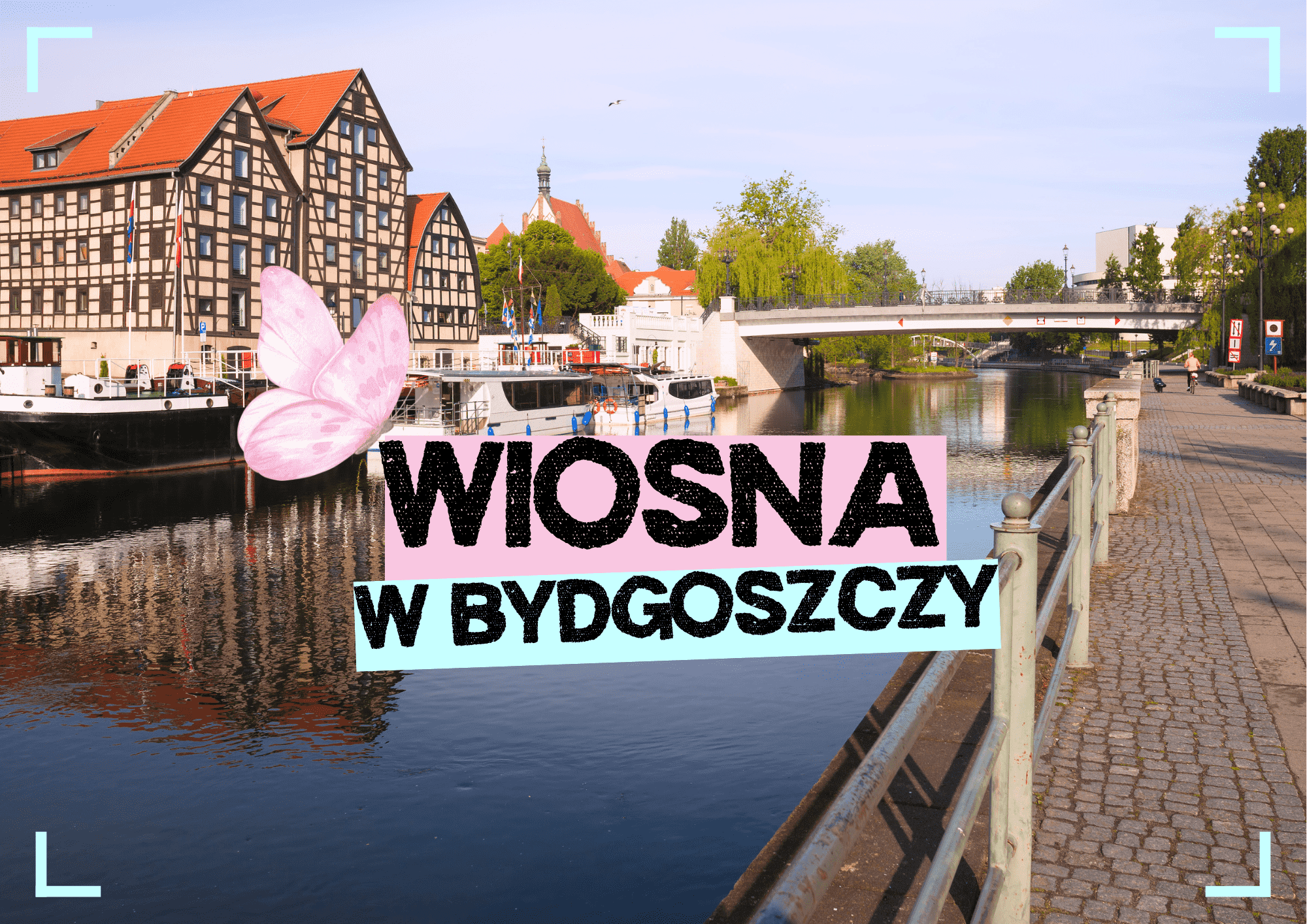 wiosna w bydgoszczy atrakcje