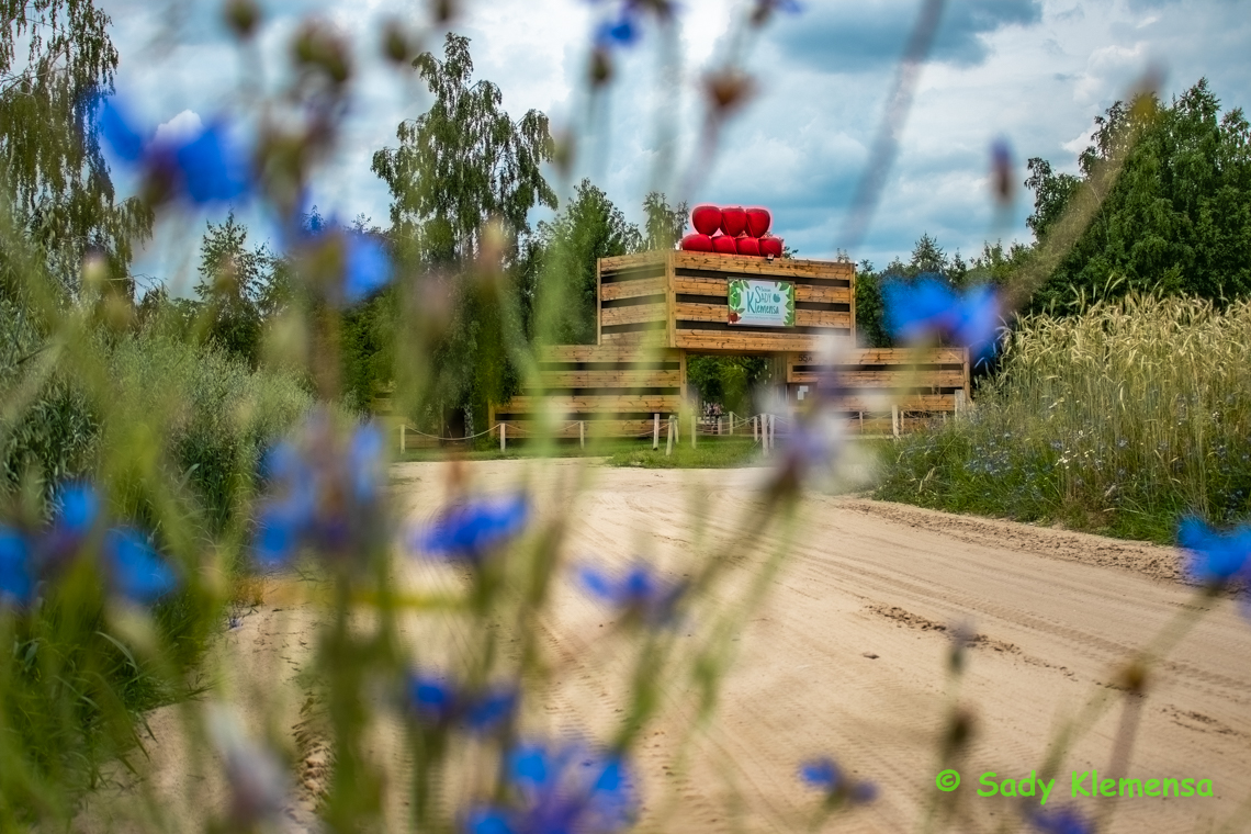 Sady-Klemensa-Event-firmowy