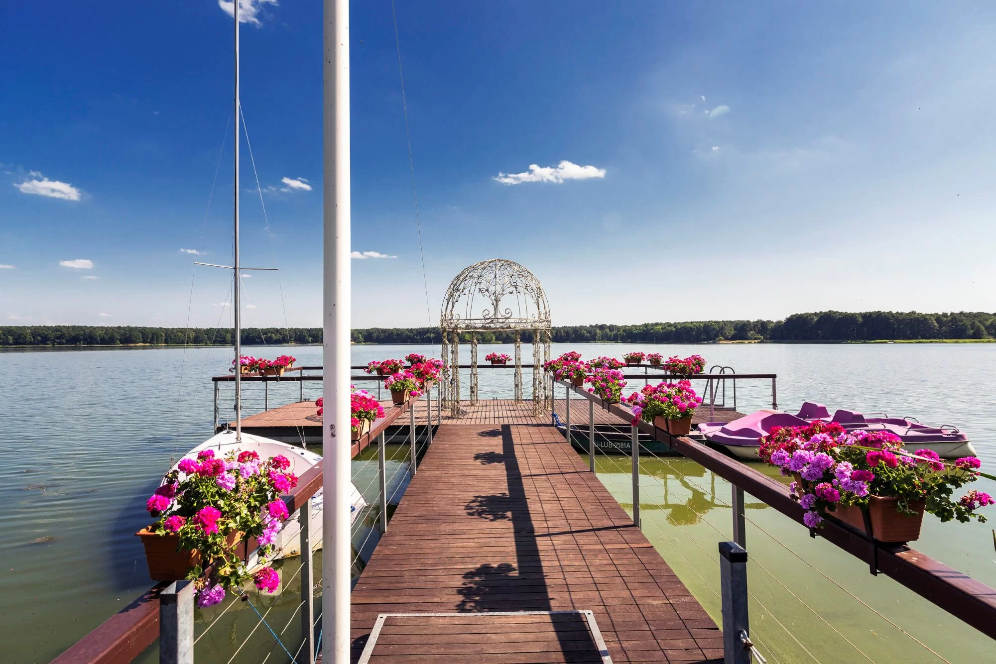 hotel pod kasztanami kopula