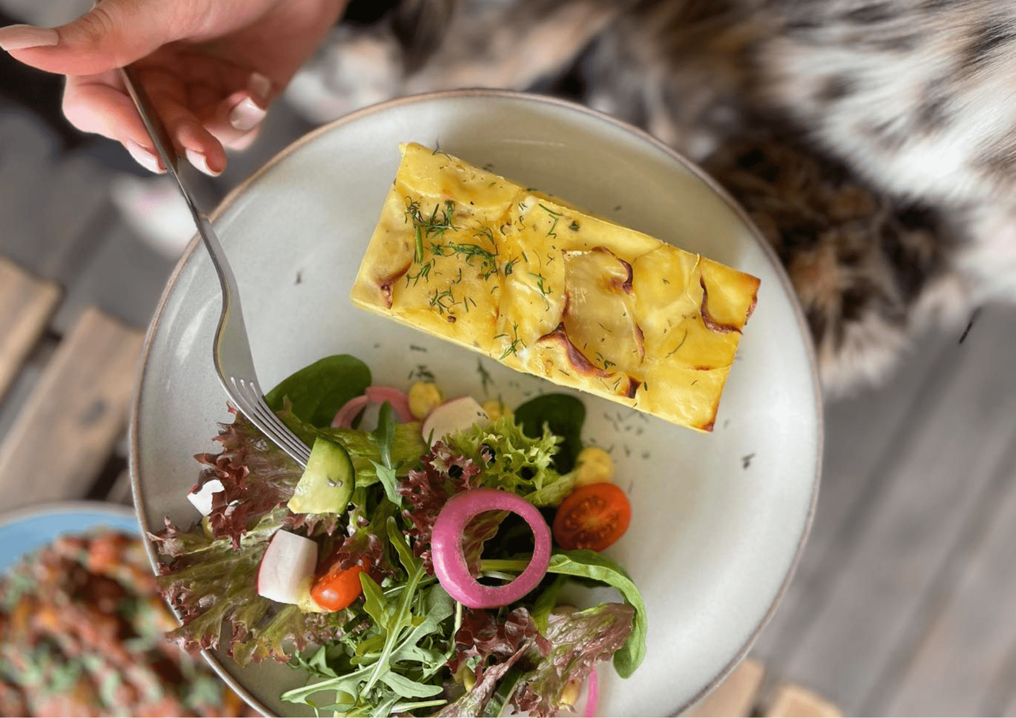 Zielony Talerzyk Lublin 1-1