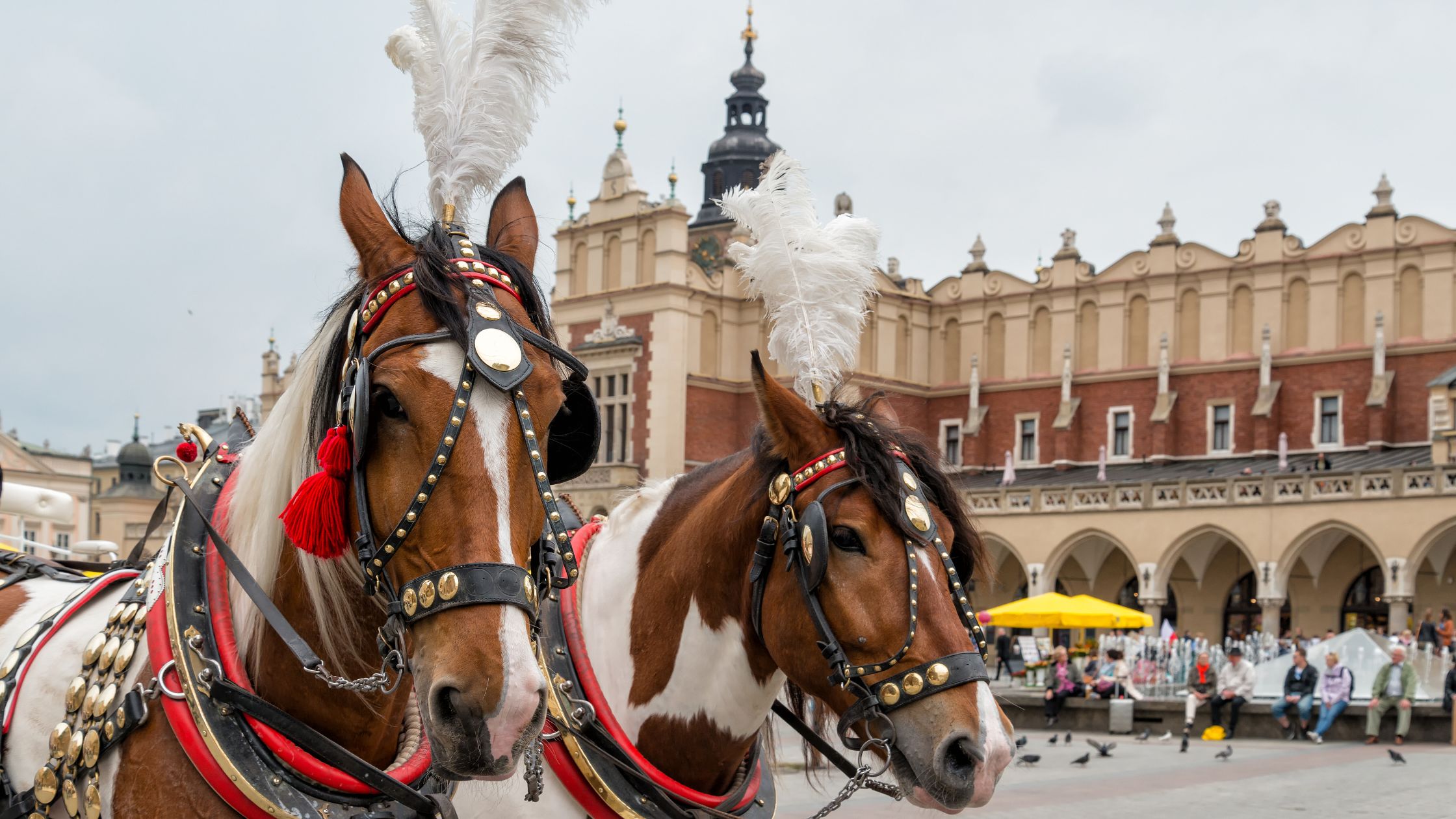 kraków dorożka