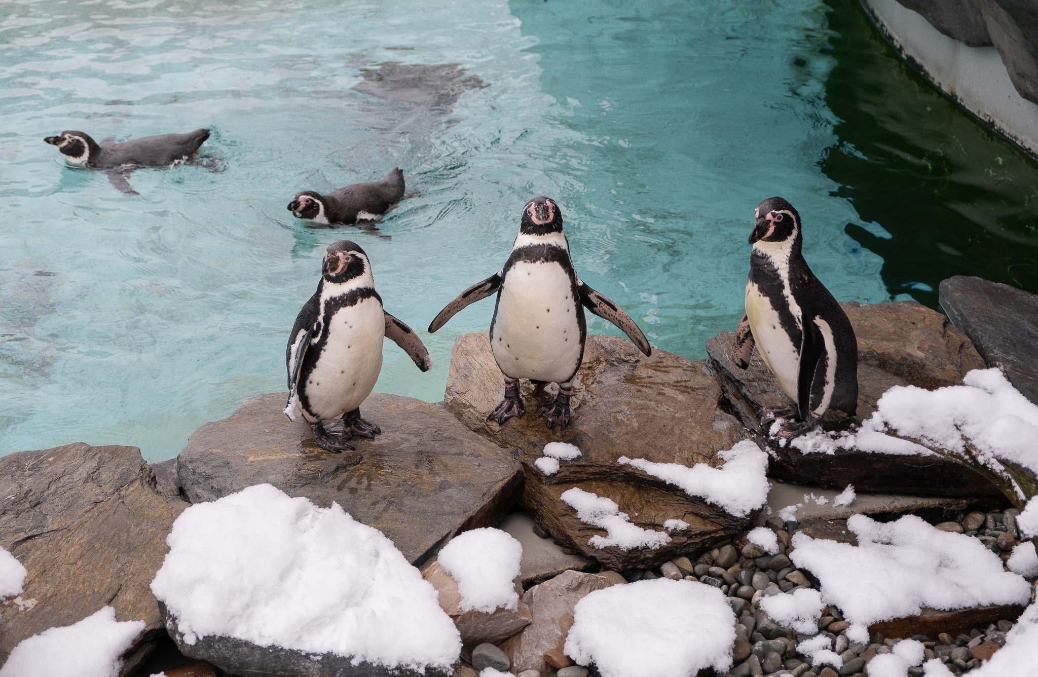 ZOO Kraków