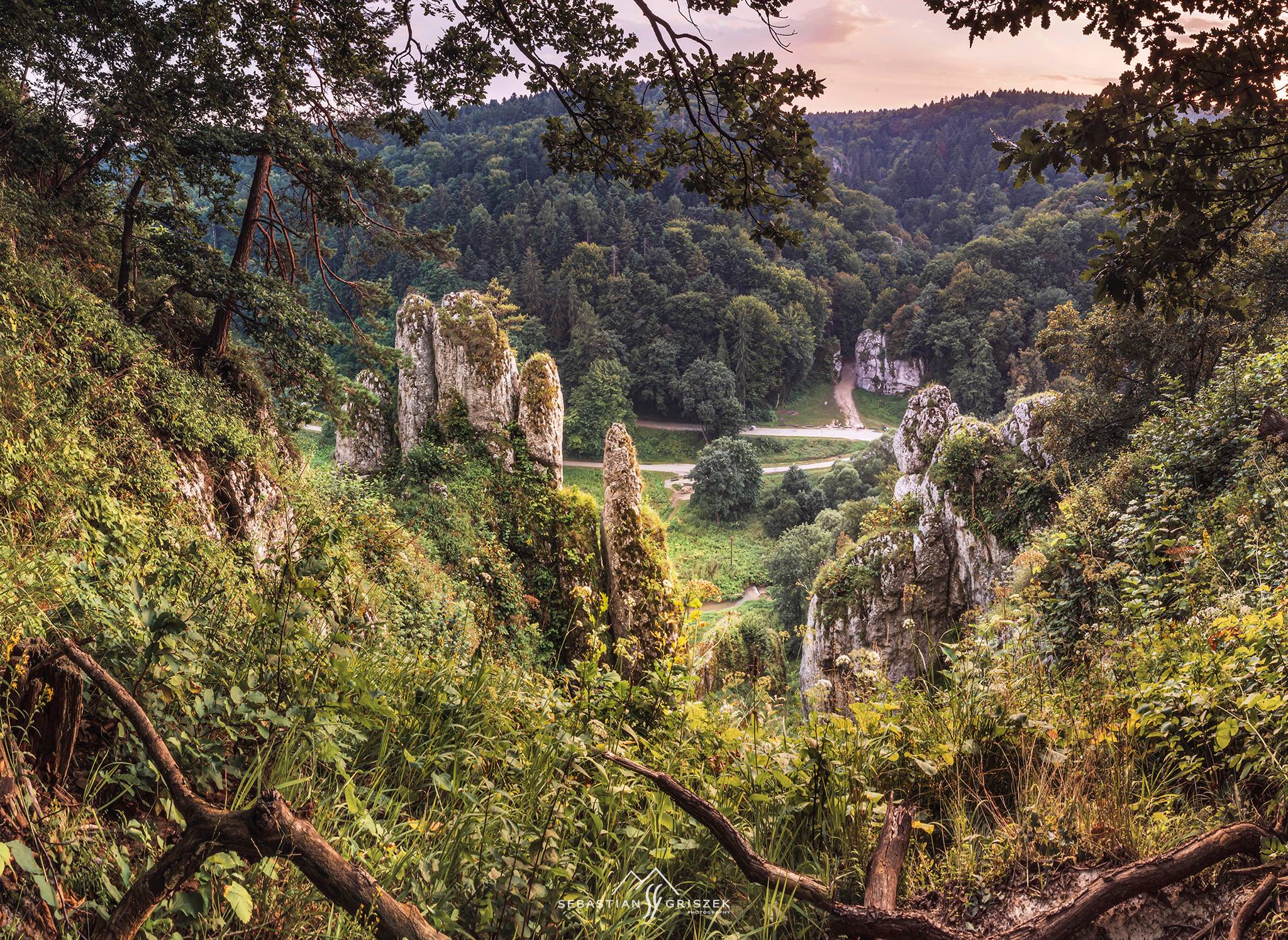 Ojcowski Park Narodowy