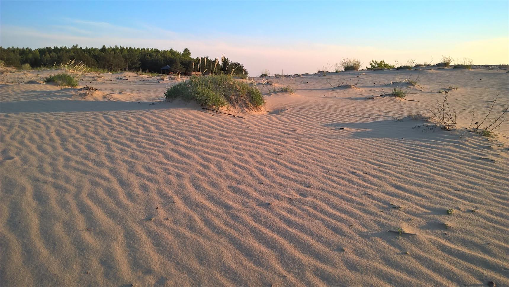 Pustynia Błędowska