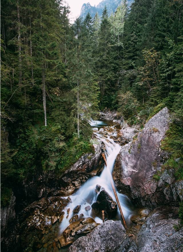 Wodogrzmoty-Mickiewicza