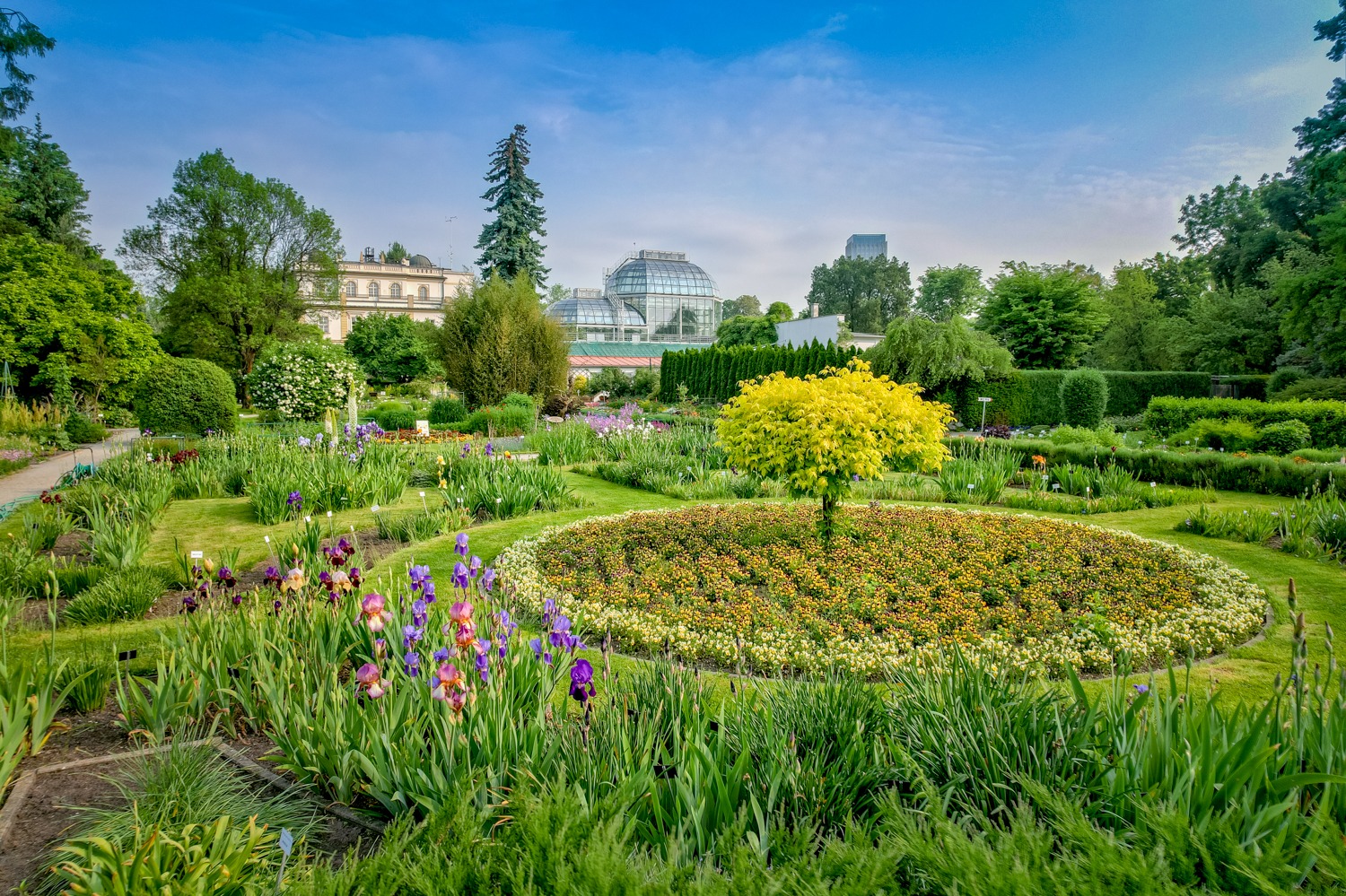 kraków Ogród Botaniczny Uniwersytetu Jagiellońskiego