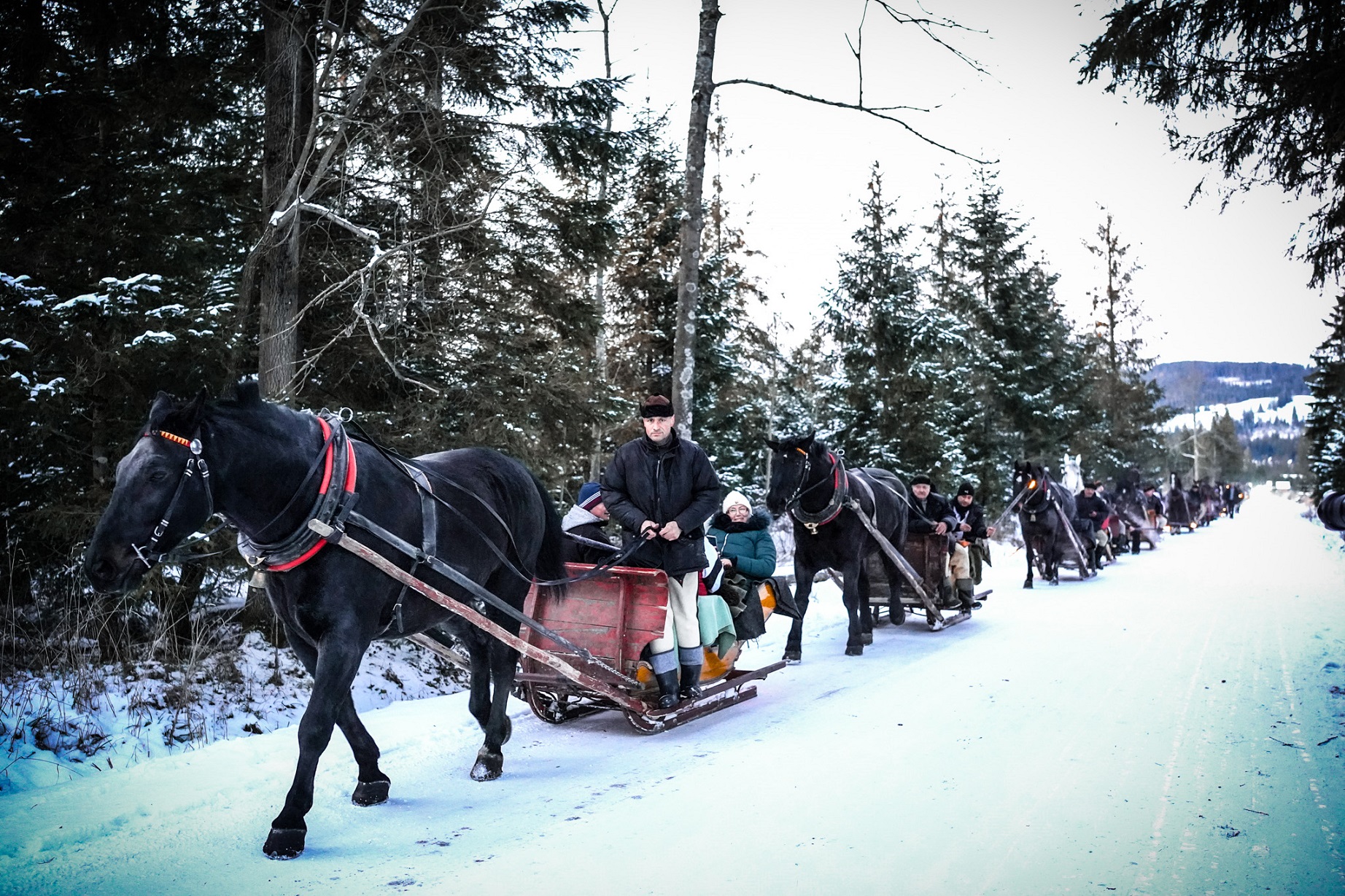magiczny kulig Zakopane