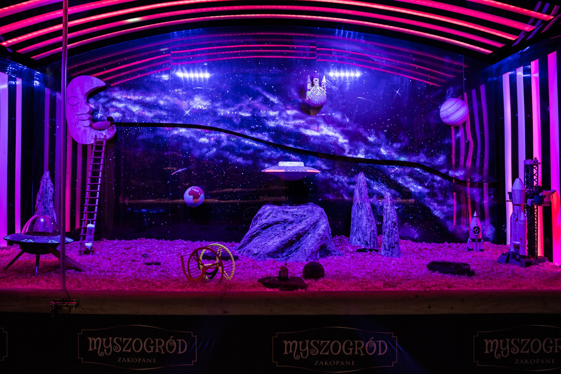 Myszogród atrakcje Zakopane