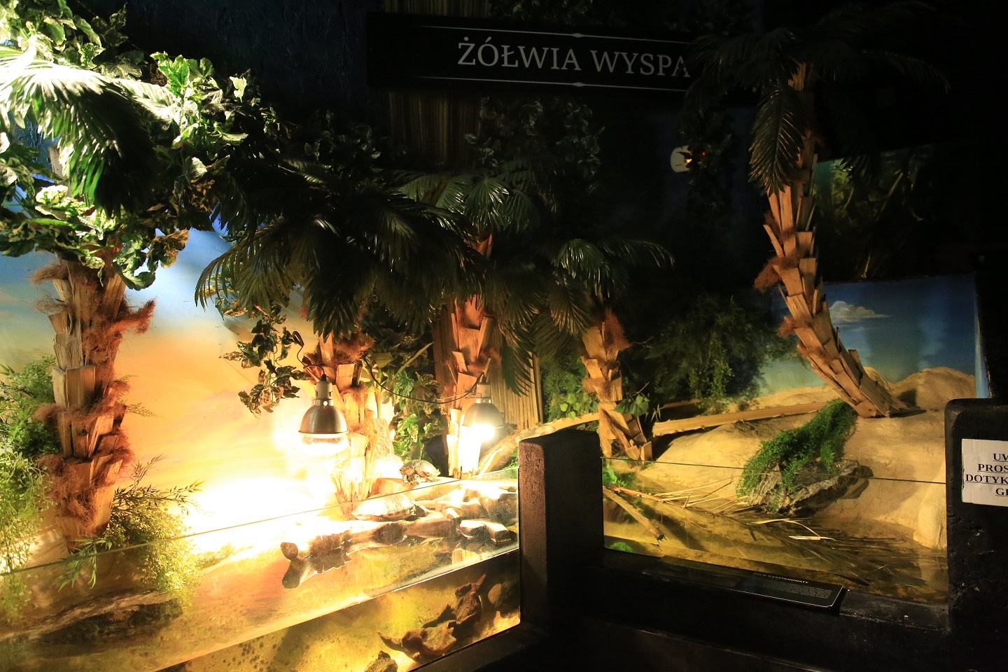 podwodny świat atrakcje zakopane