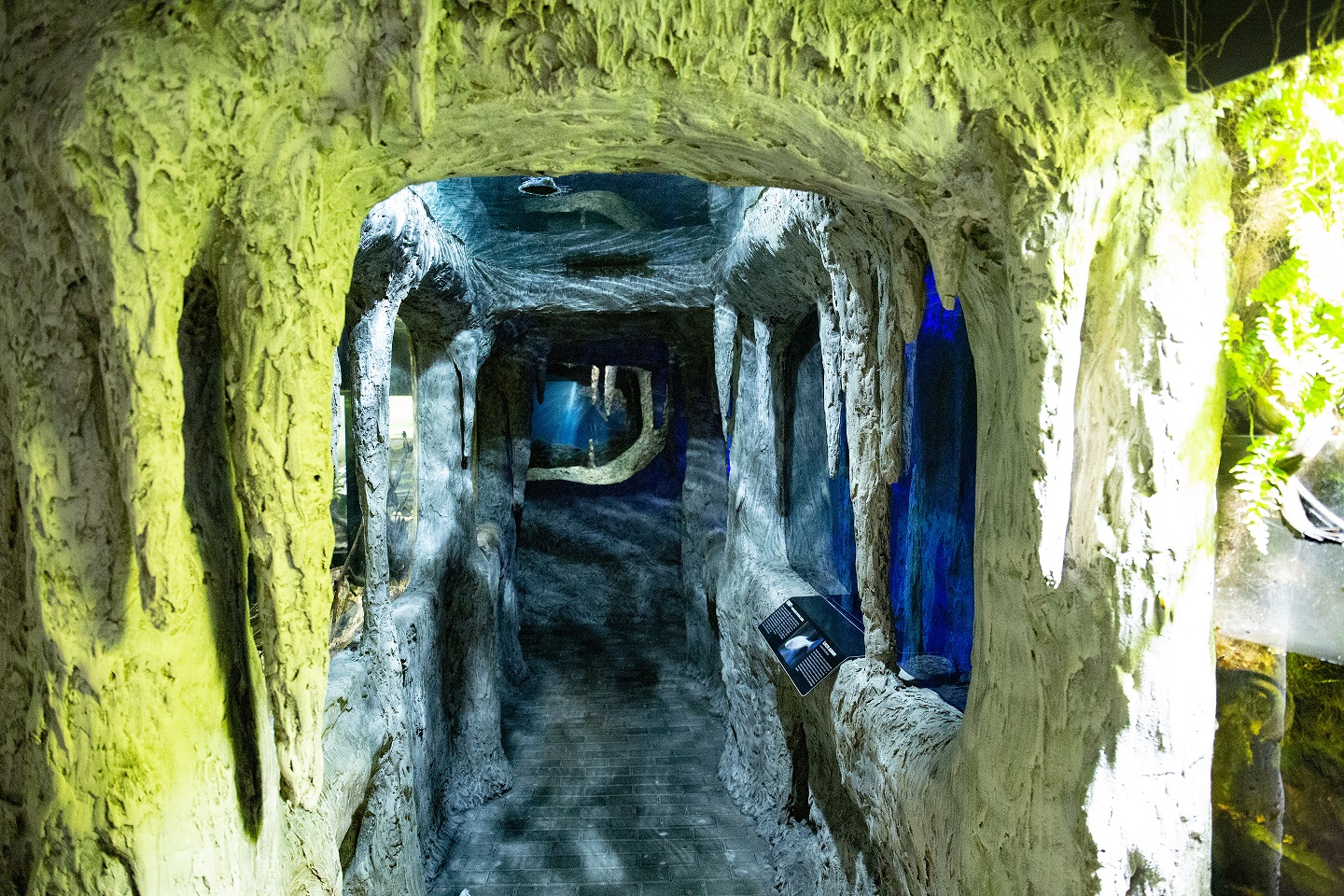 Podwodny Świat Zakopane