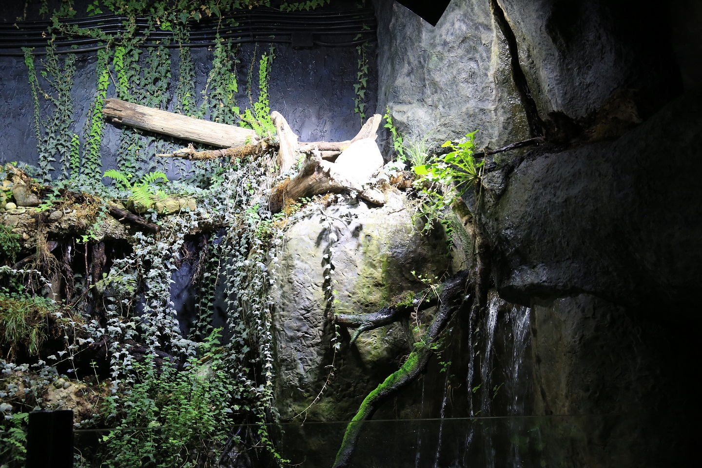 podwodny swiat atrakcje zakopane