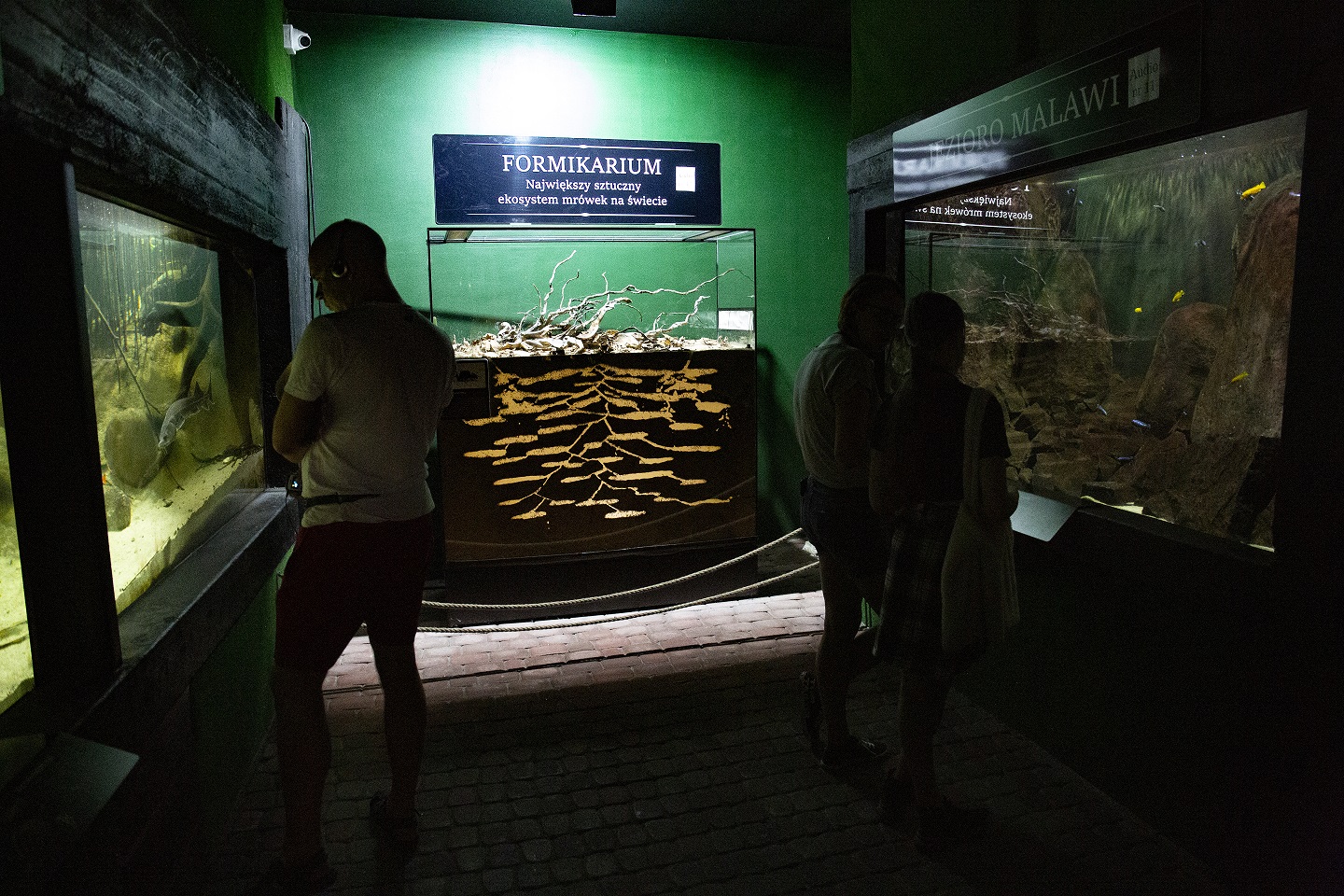 podwodny swiat atrakcje zakopane