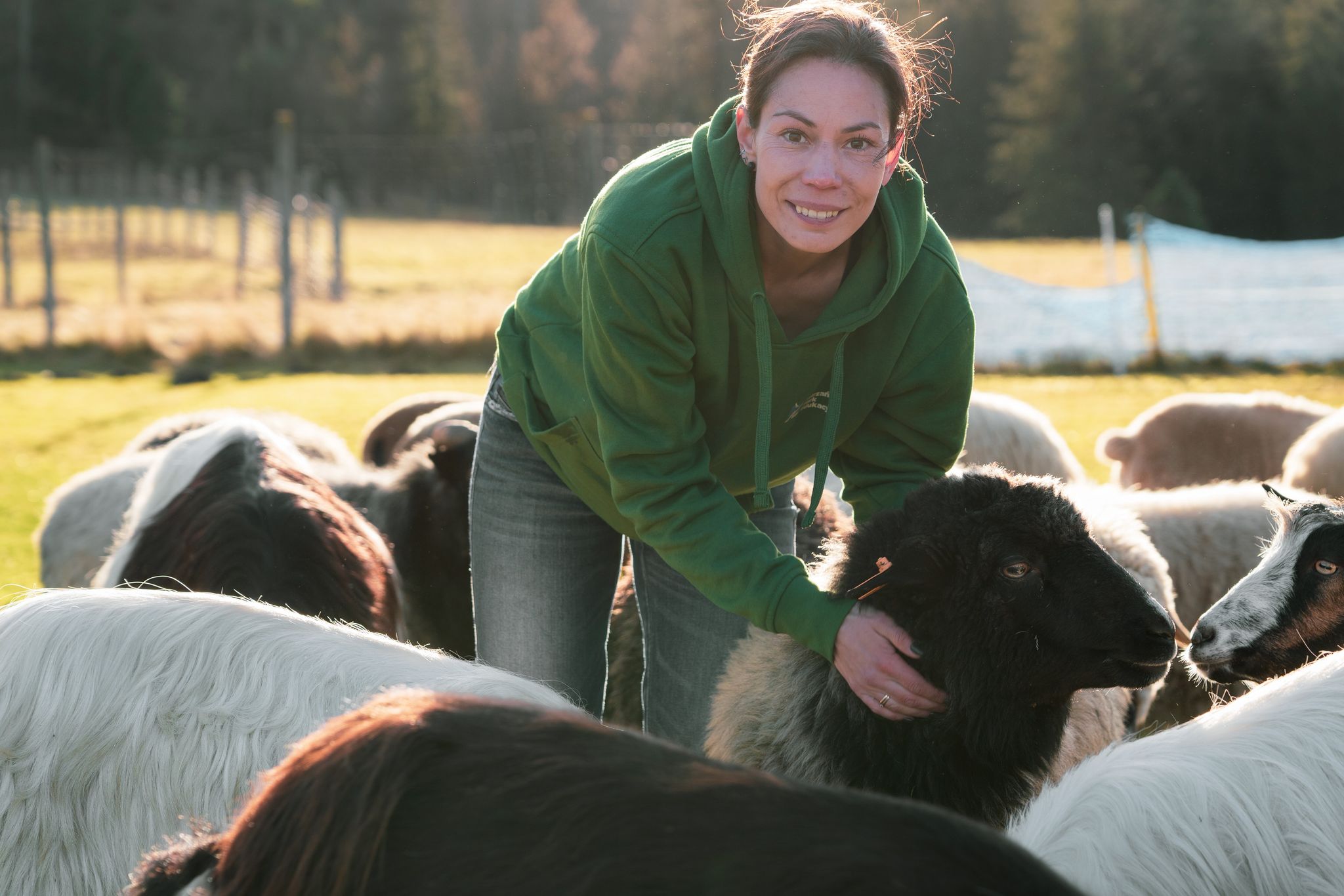 317446491 5730920416965700 6785591083367228534 n