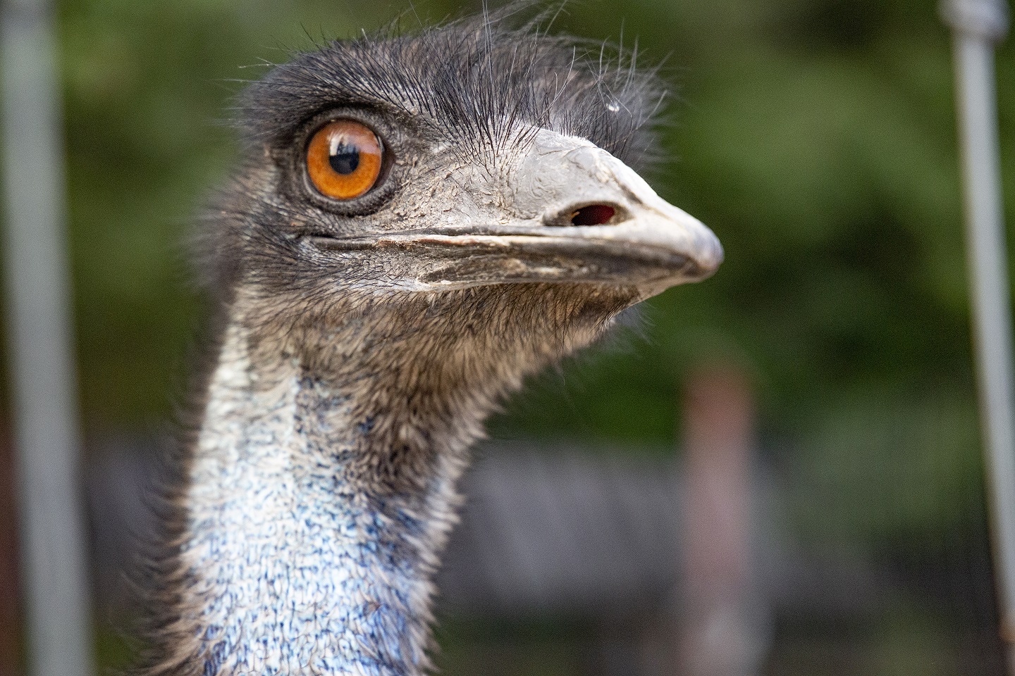 tatrzanskie mini zoo zakopane