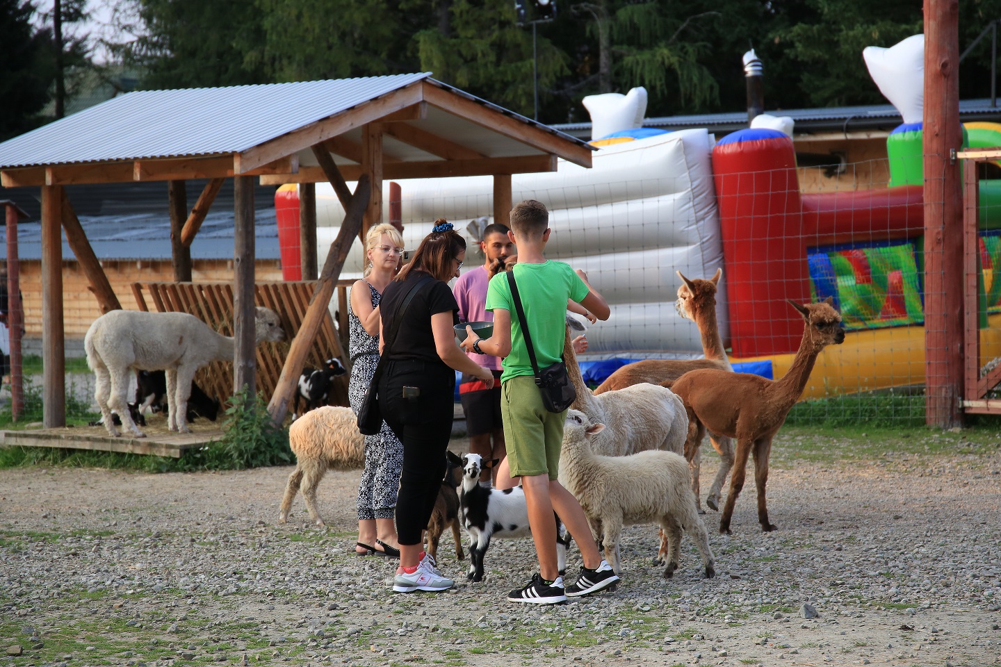 tatrzanskie mini zoo zakopane