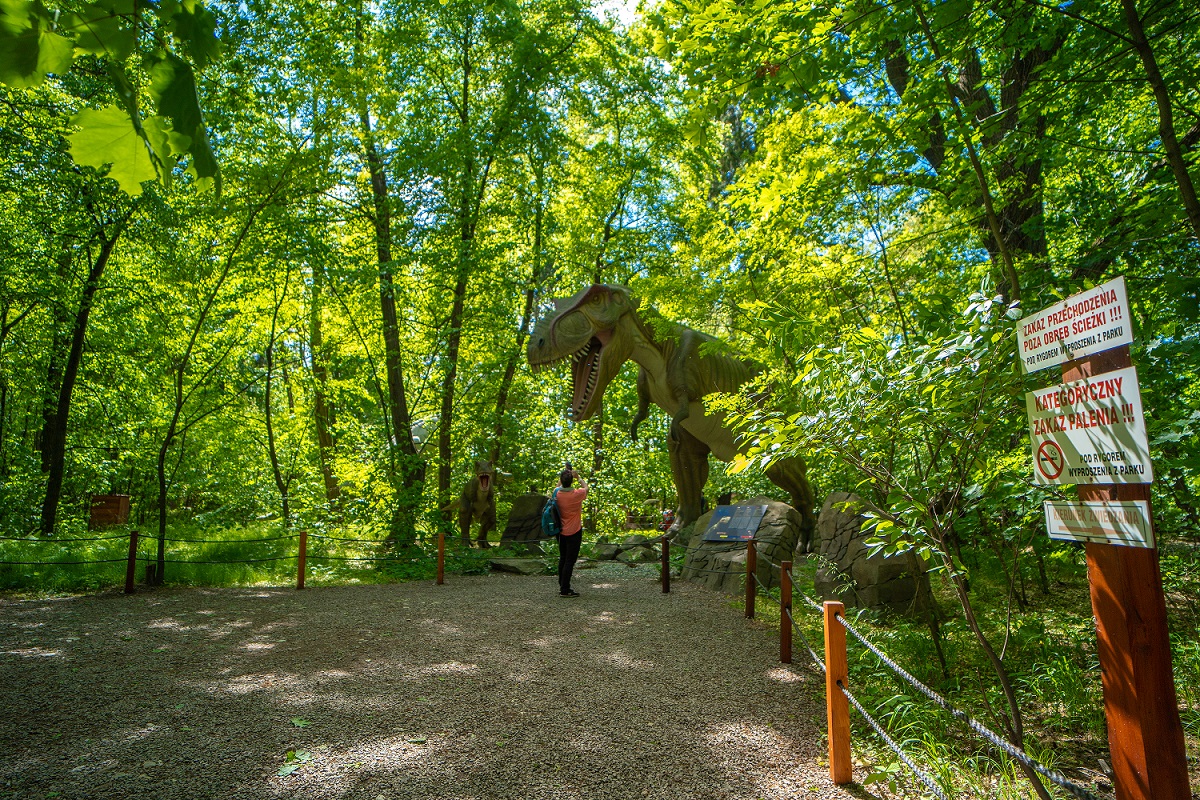 zatorland 