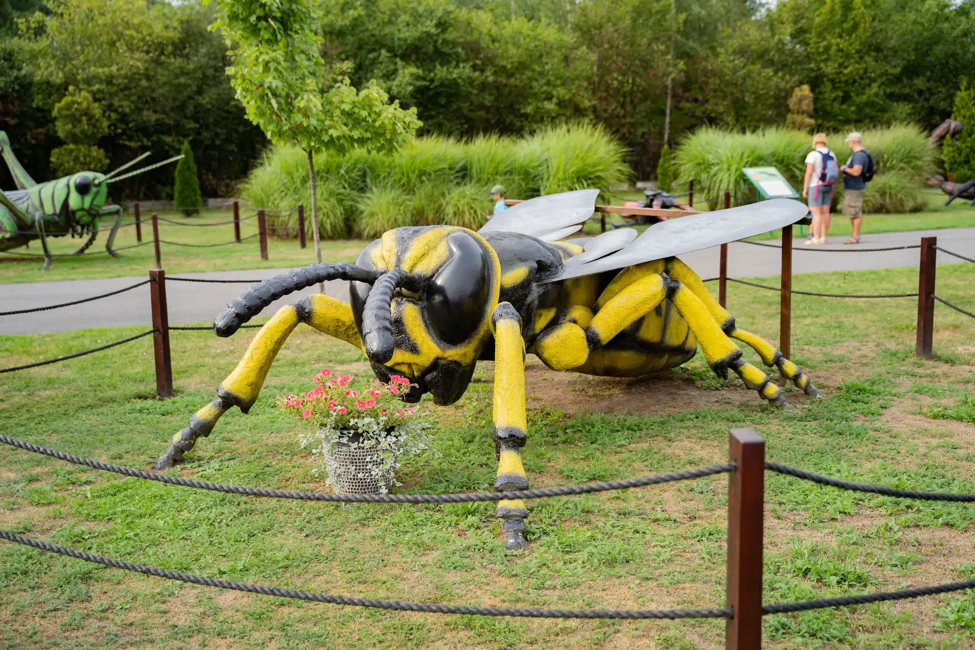park owadow zatorland