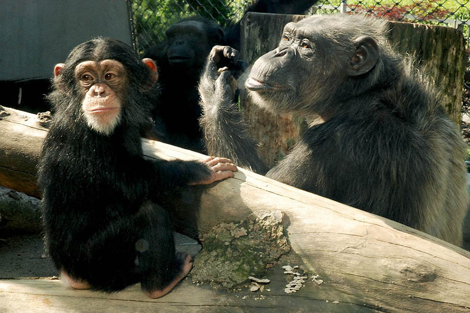 zoo kraków