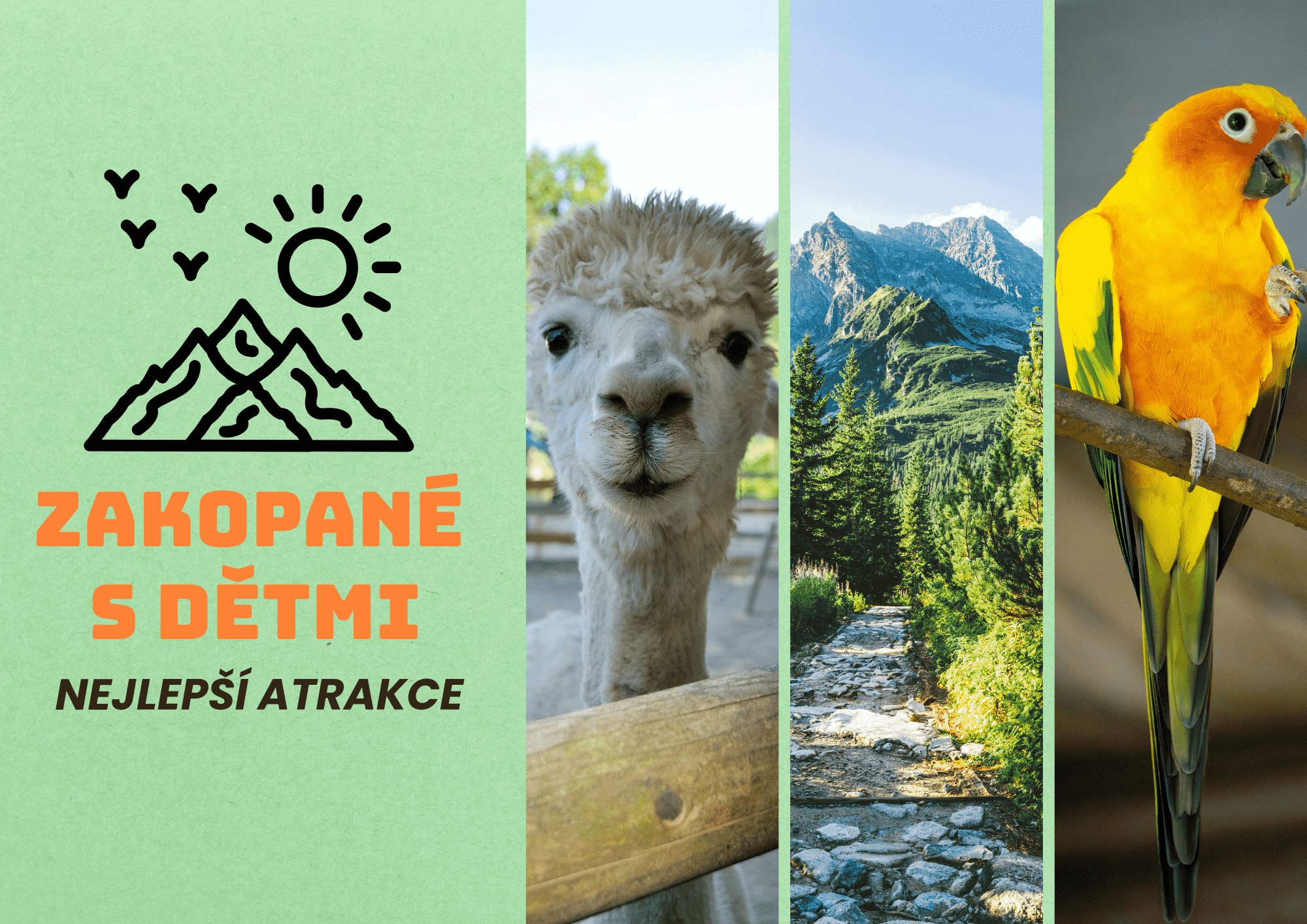 Zakopané s dětmi - nejlepší atrakce, tipy na výlety a rodinné zážitky v Tatrách