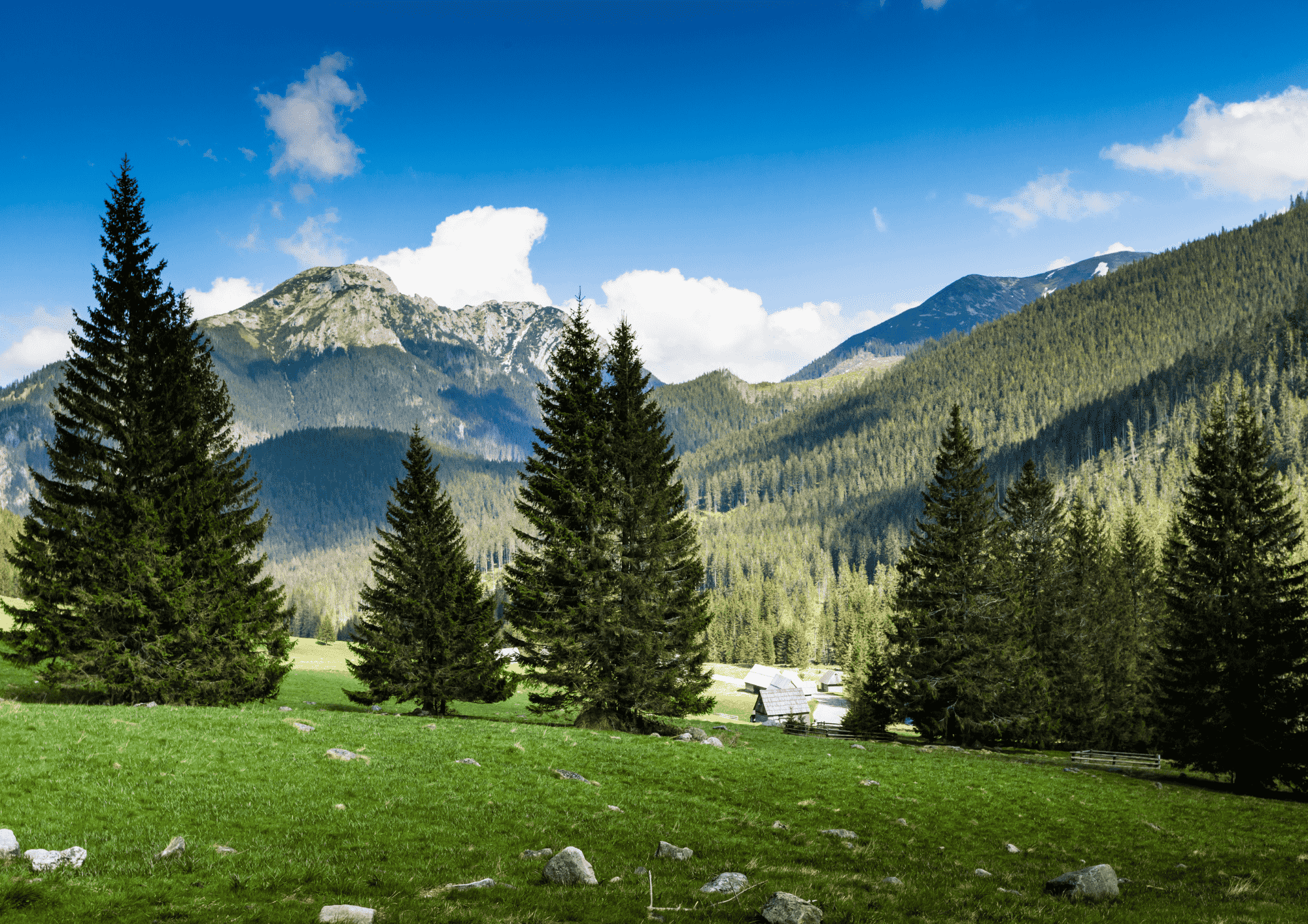 małopolska lato pomysły 1