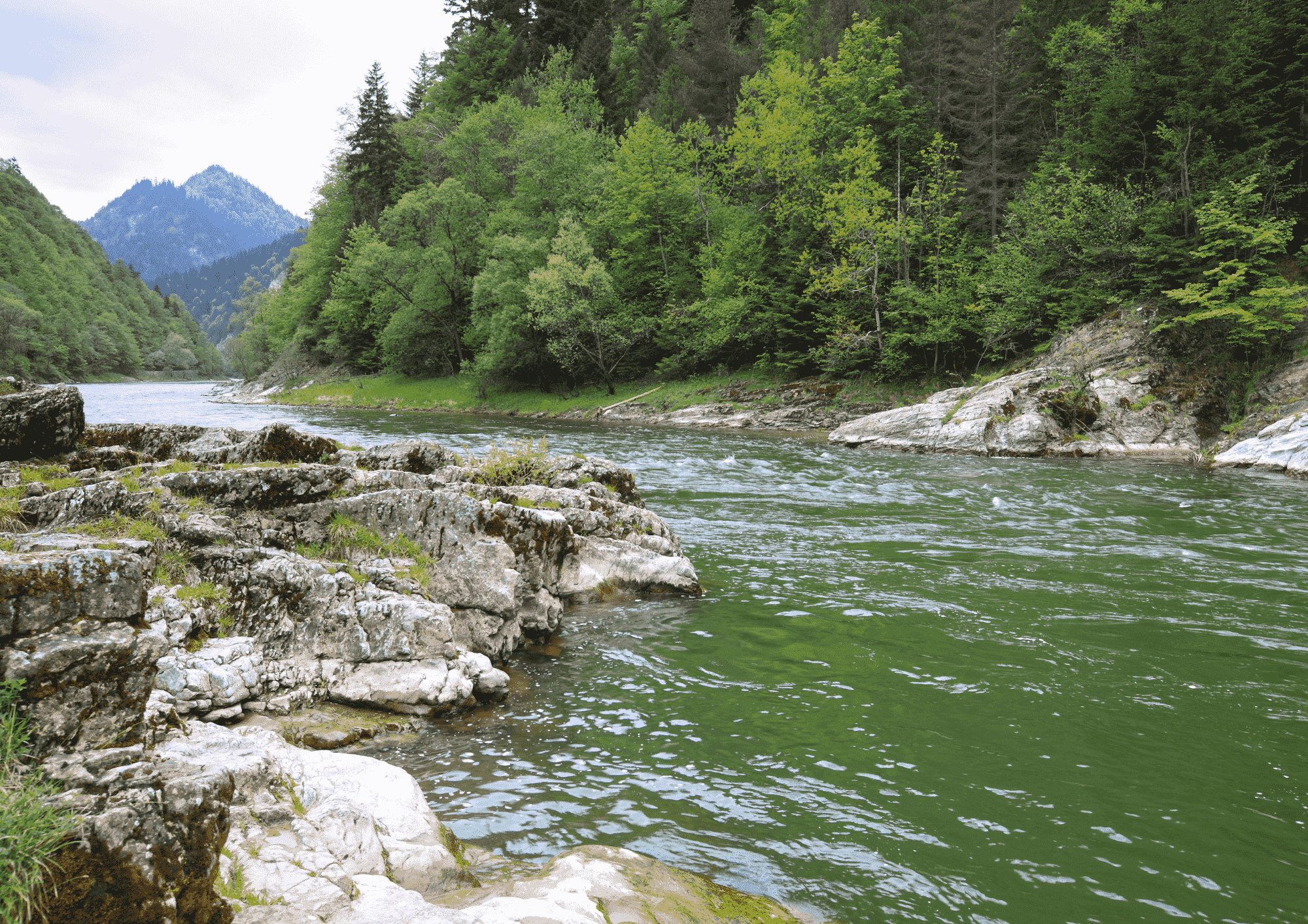 małopolska lato pomysły pienińs
