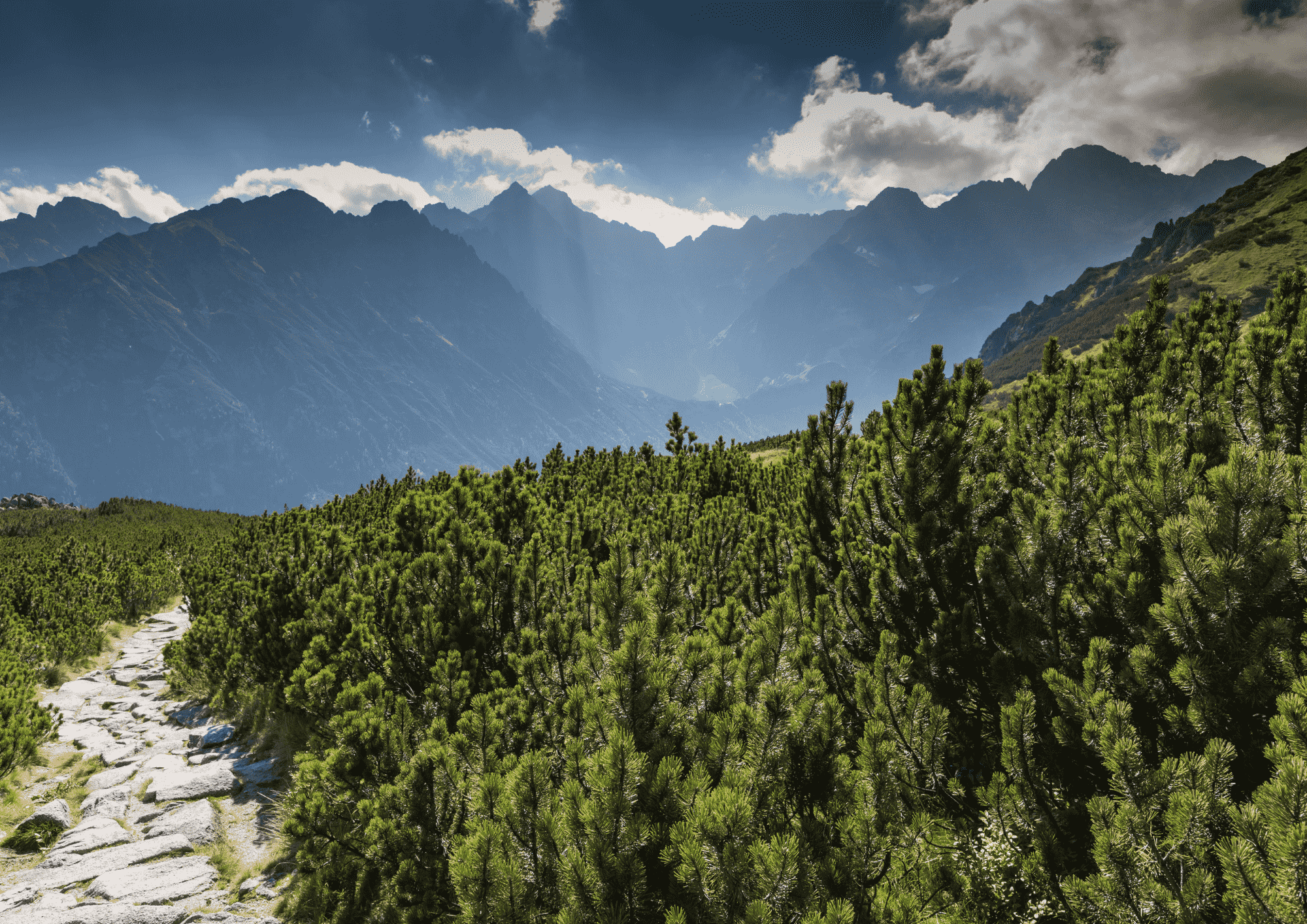 małopolska lato pomysły tatrzan