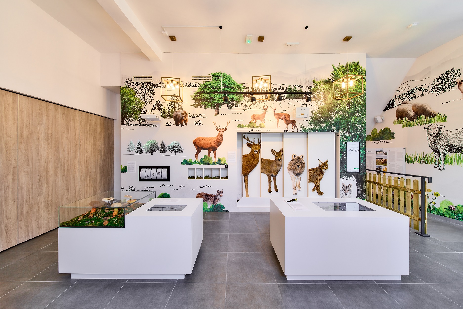 Brama w Gorce – atrakcje Małopolska