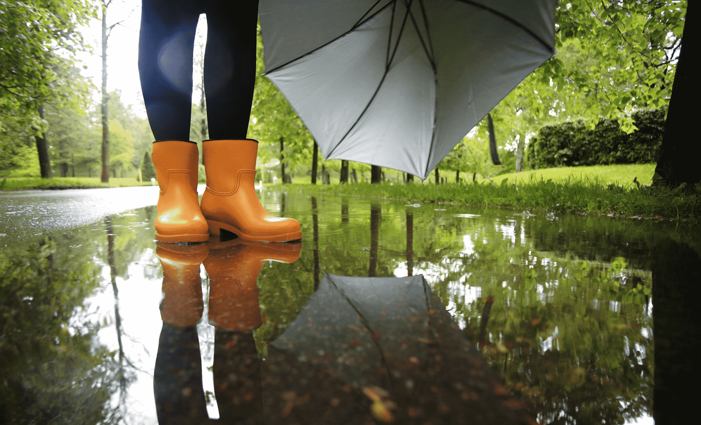 krynica zdroj pada deszcz 1