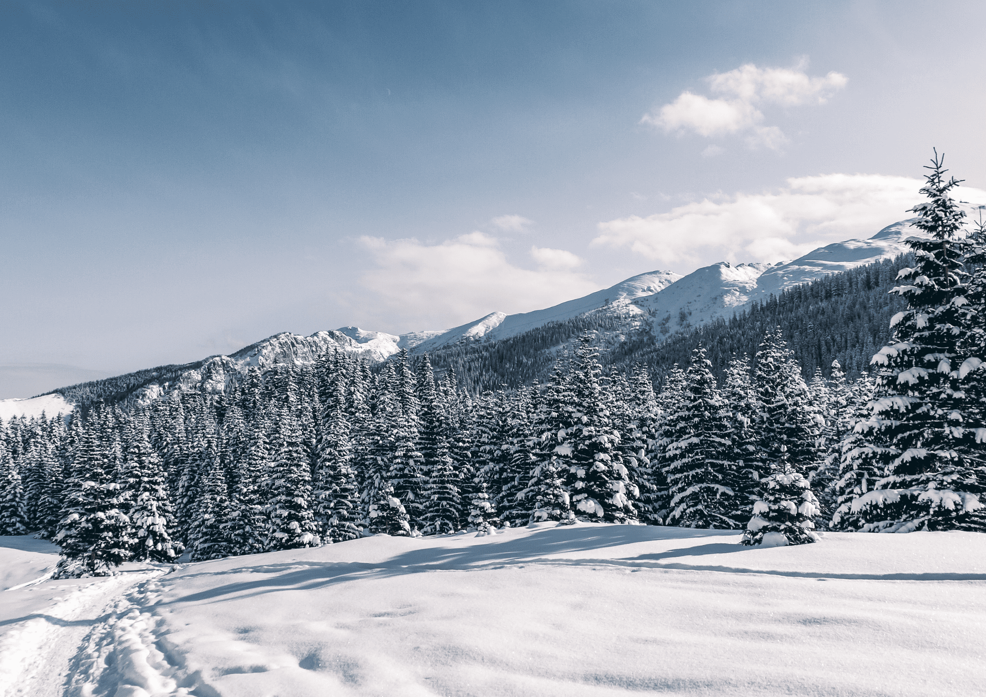 ferie malopolska atrakcje dzieci 2