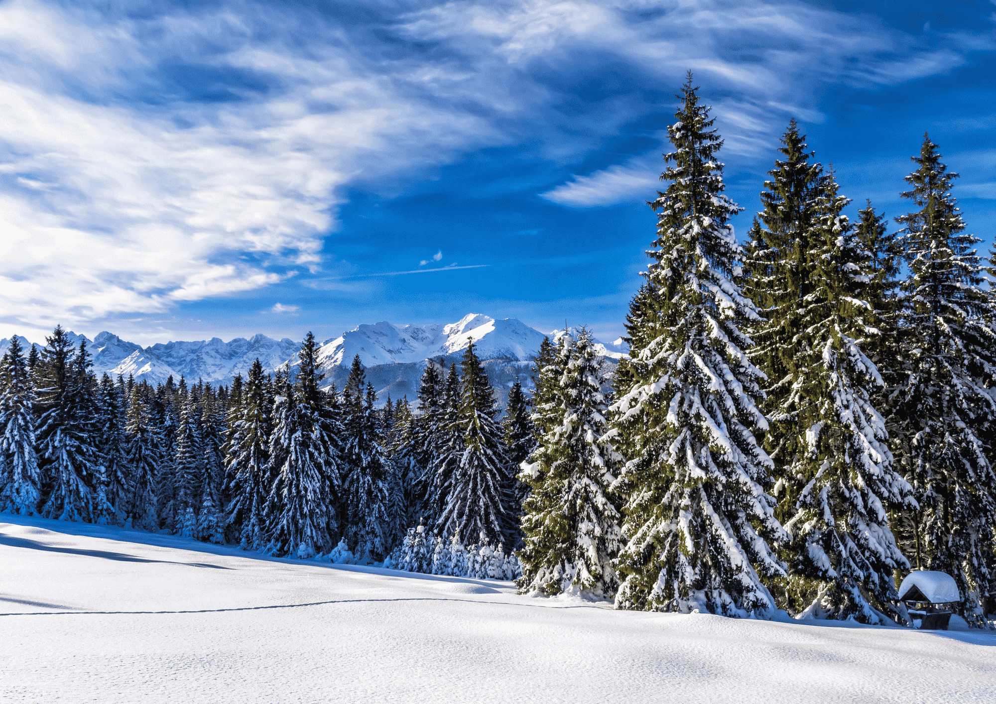 malopolska zima atrakcje 1 1