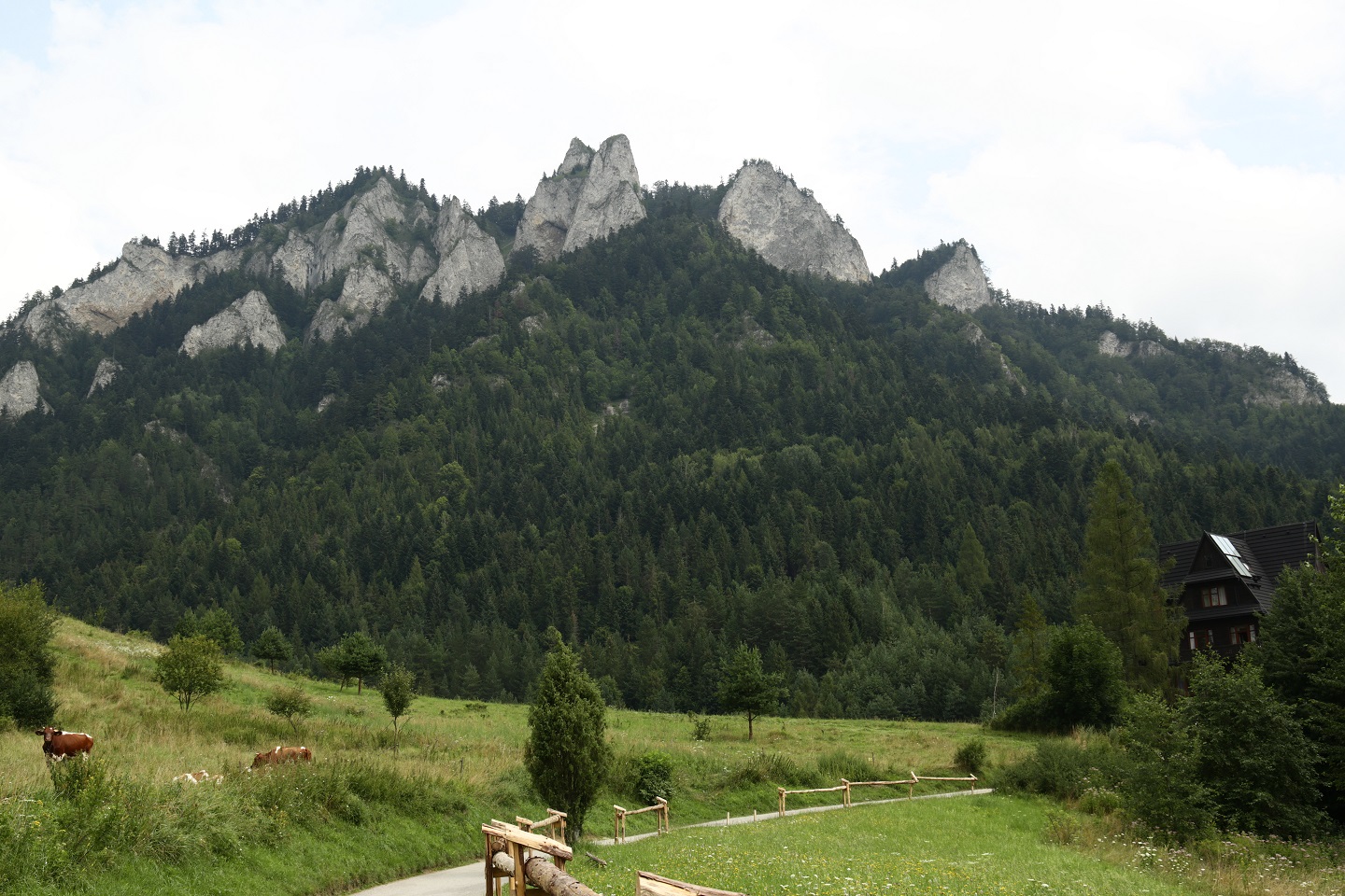 pieniny wyjazdy firmowe