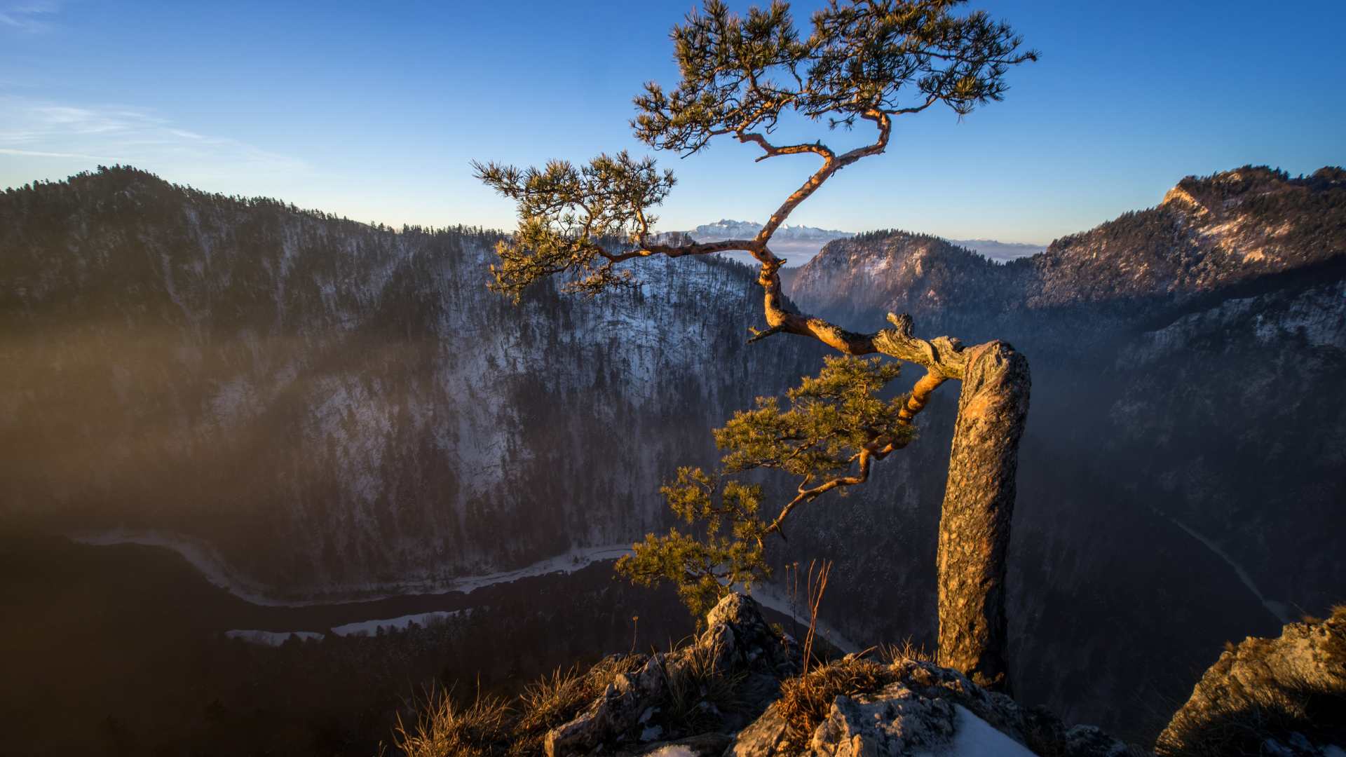 sokolica Pieniny