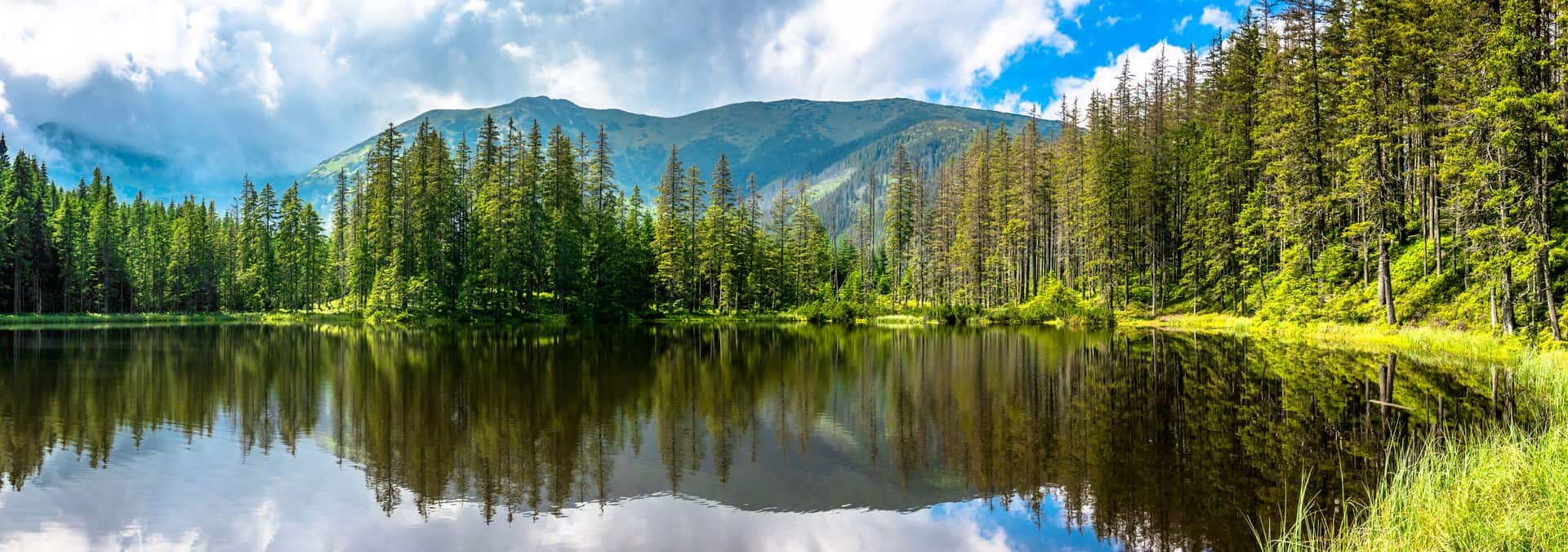 tatry